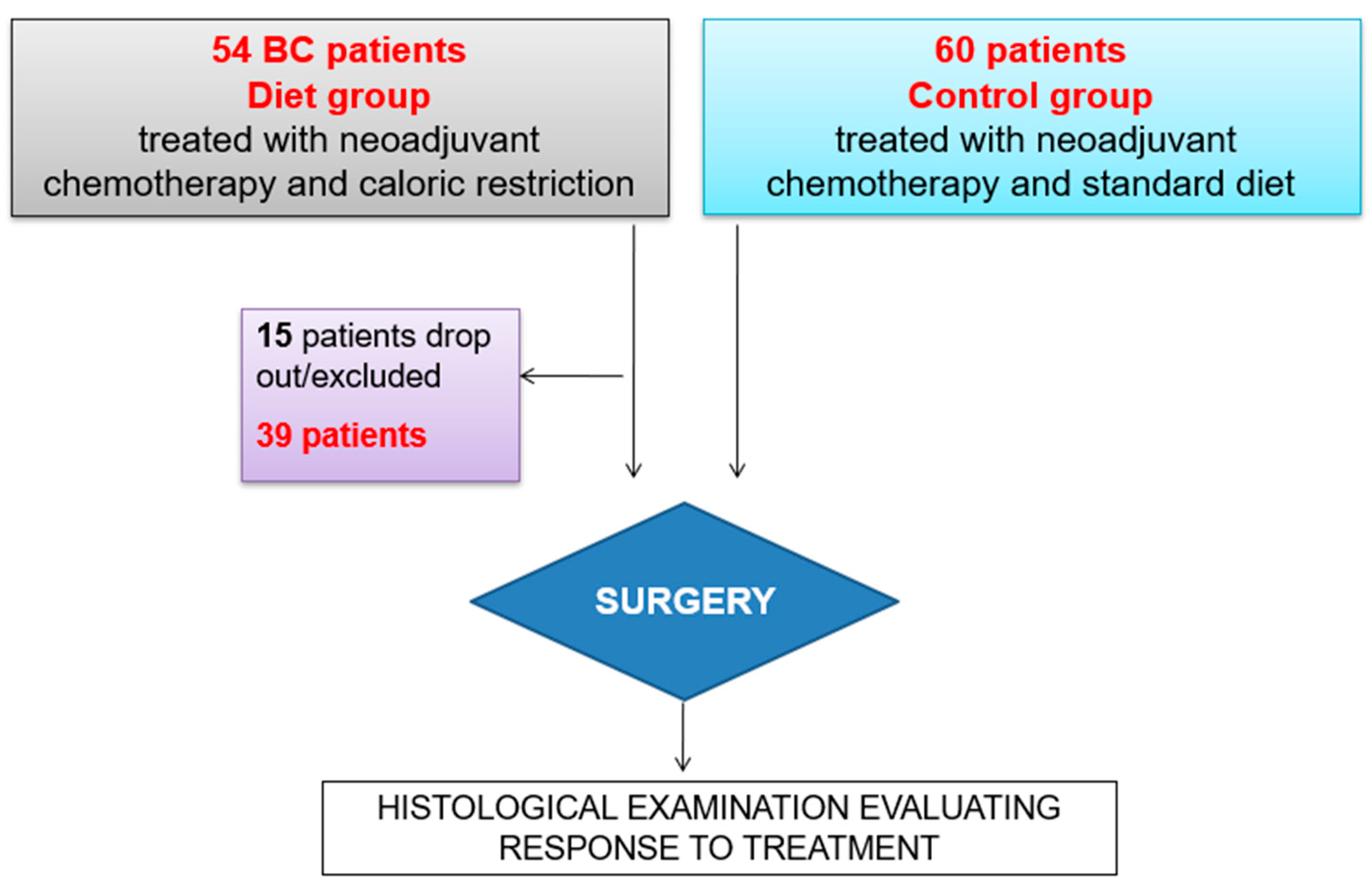 Nutrients 15 04677 g002