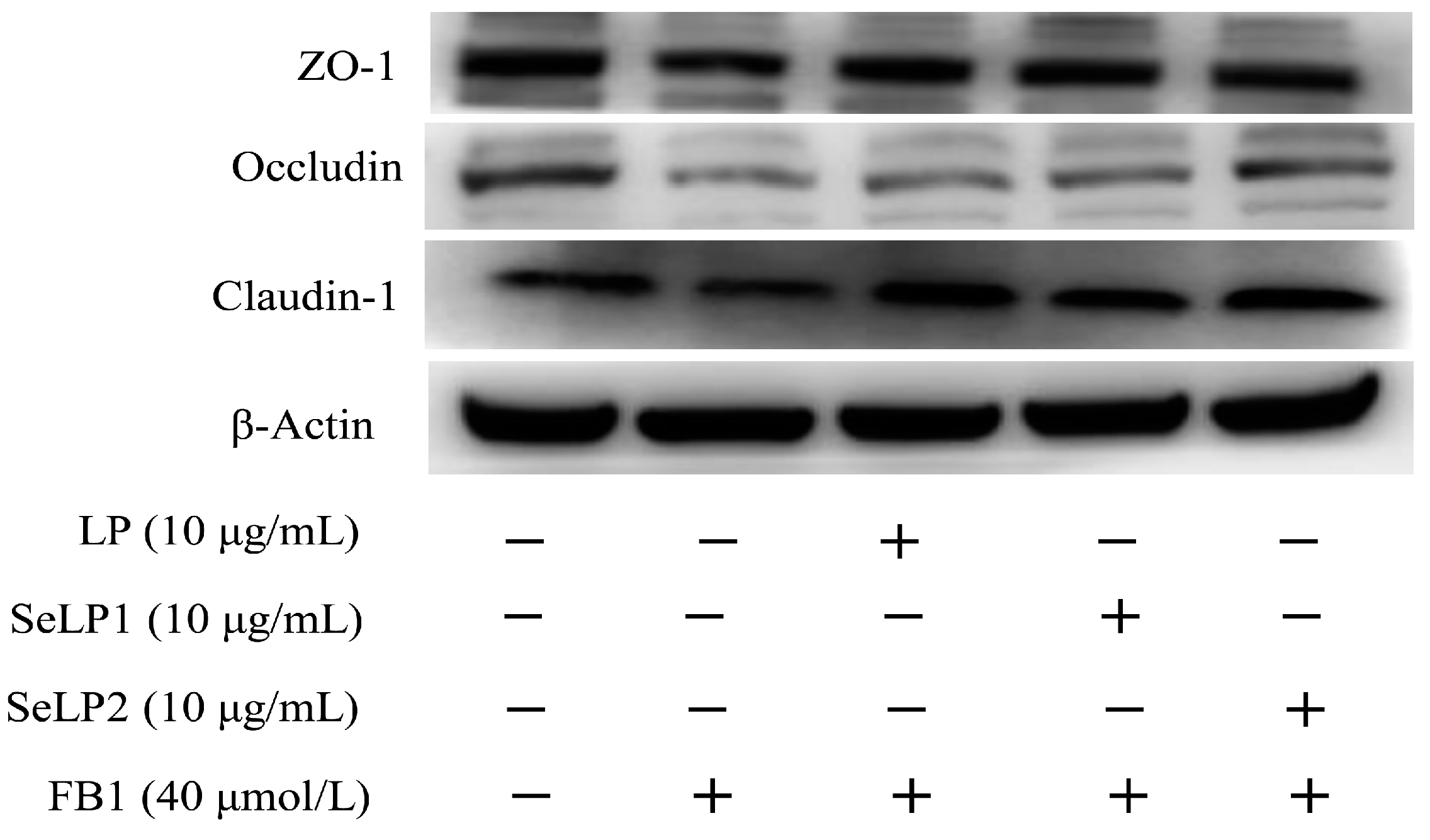 Nutrients 15 04679 g007