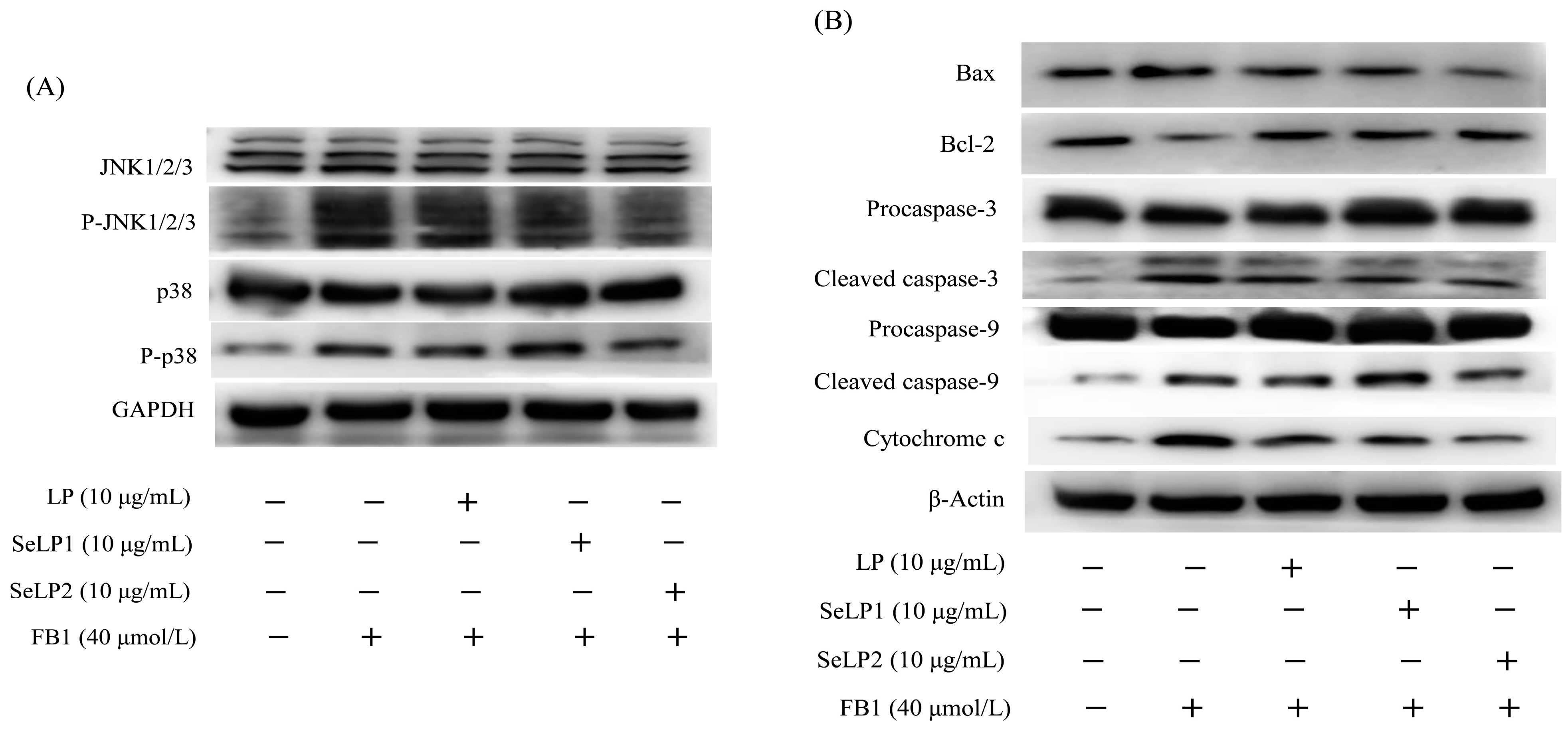Nutrients 15 04679 g008