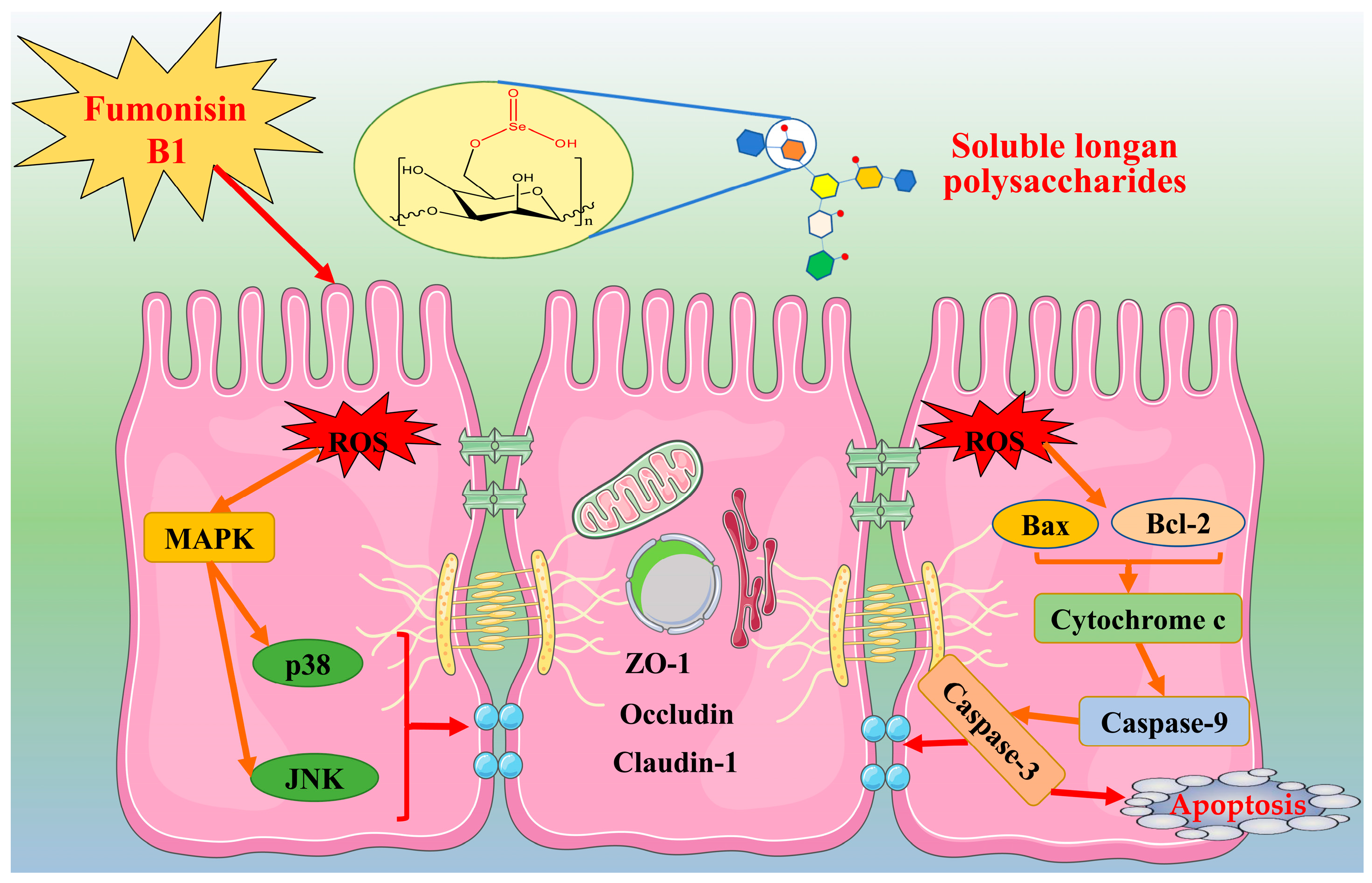 Nutrients 15 04679 g009