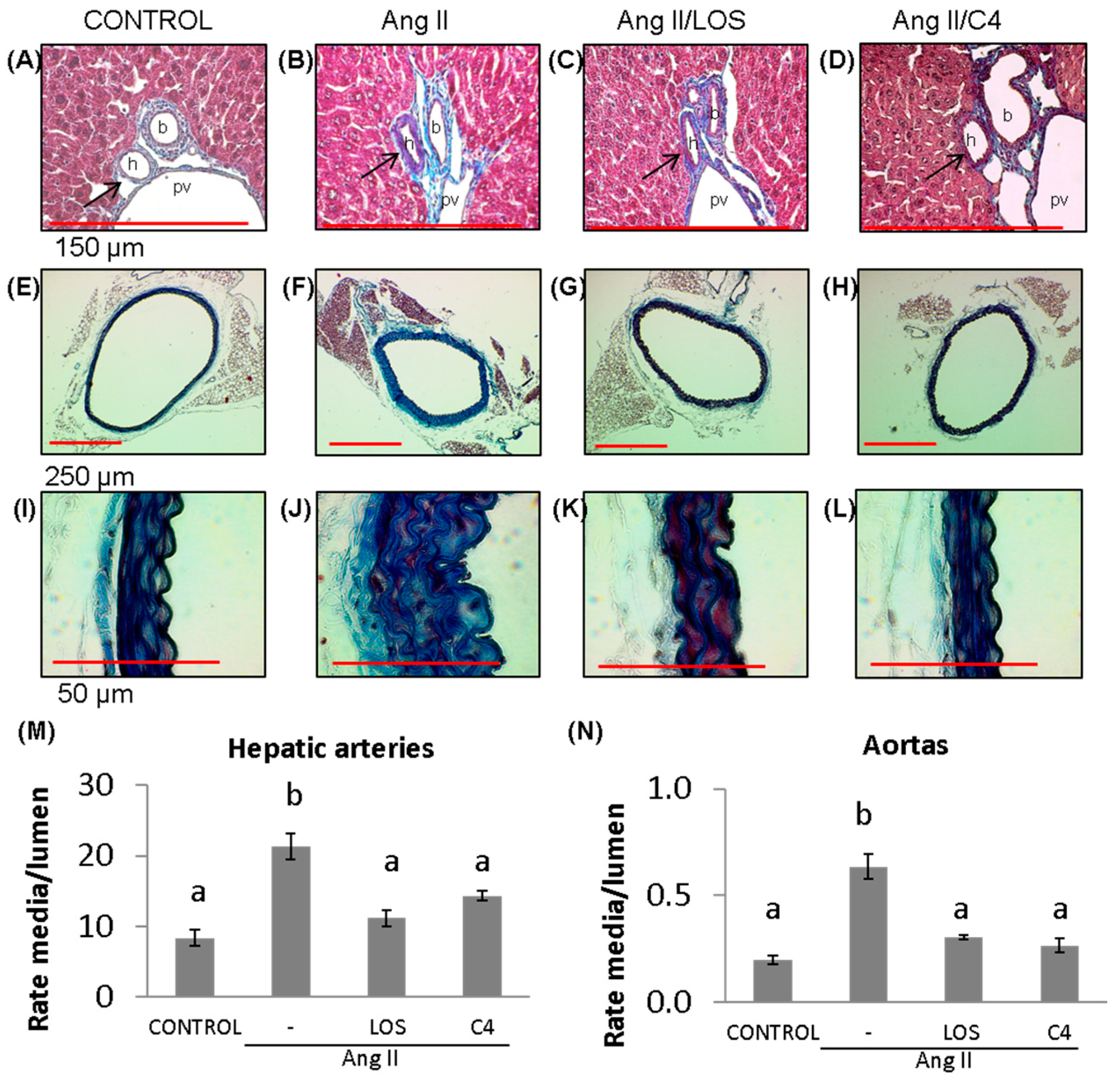 Nutrients 15 04680 g003
