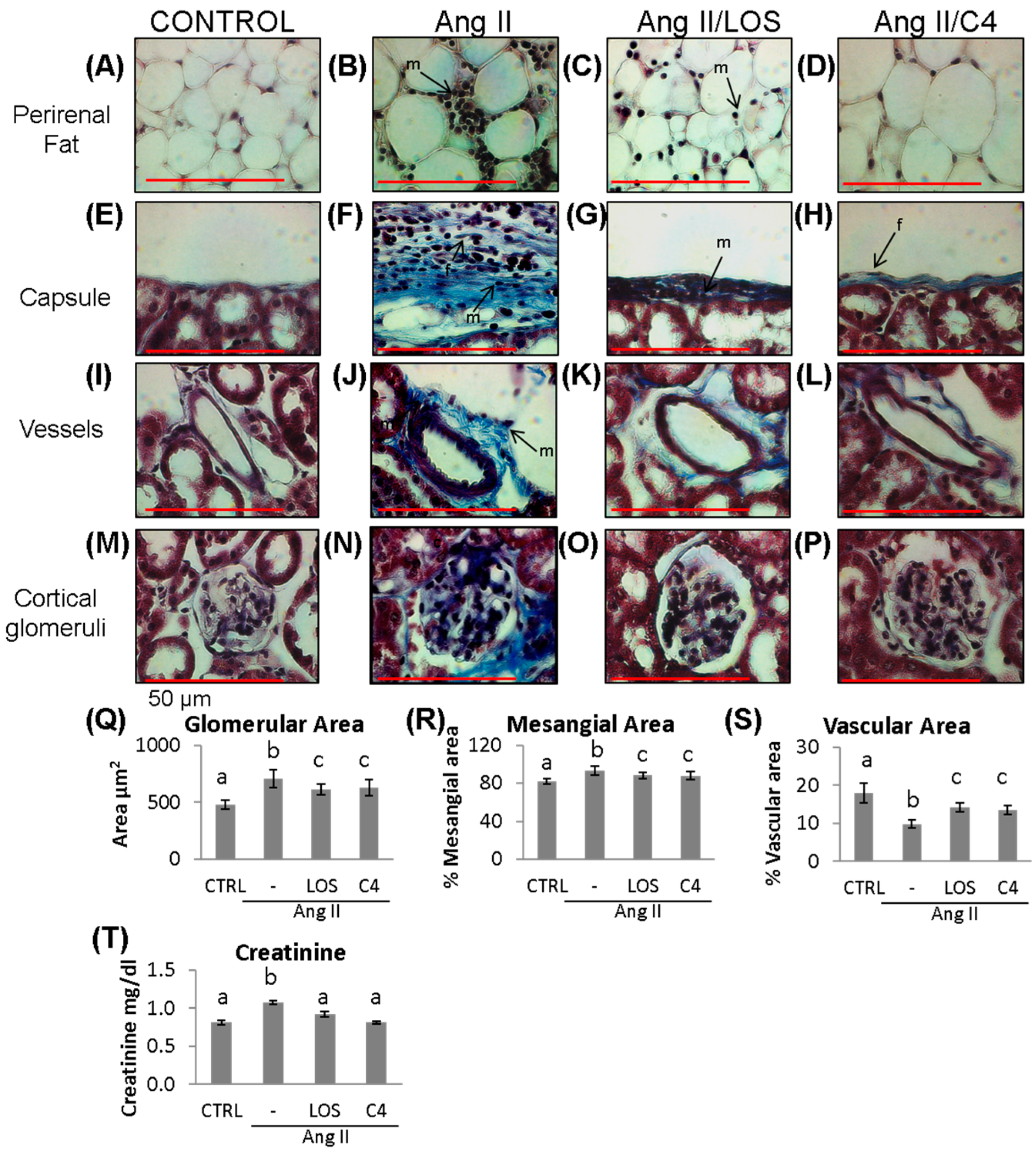 Nutrients 15 04680 g005