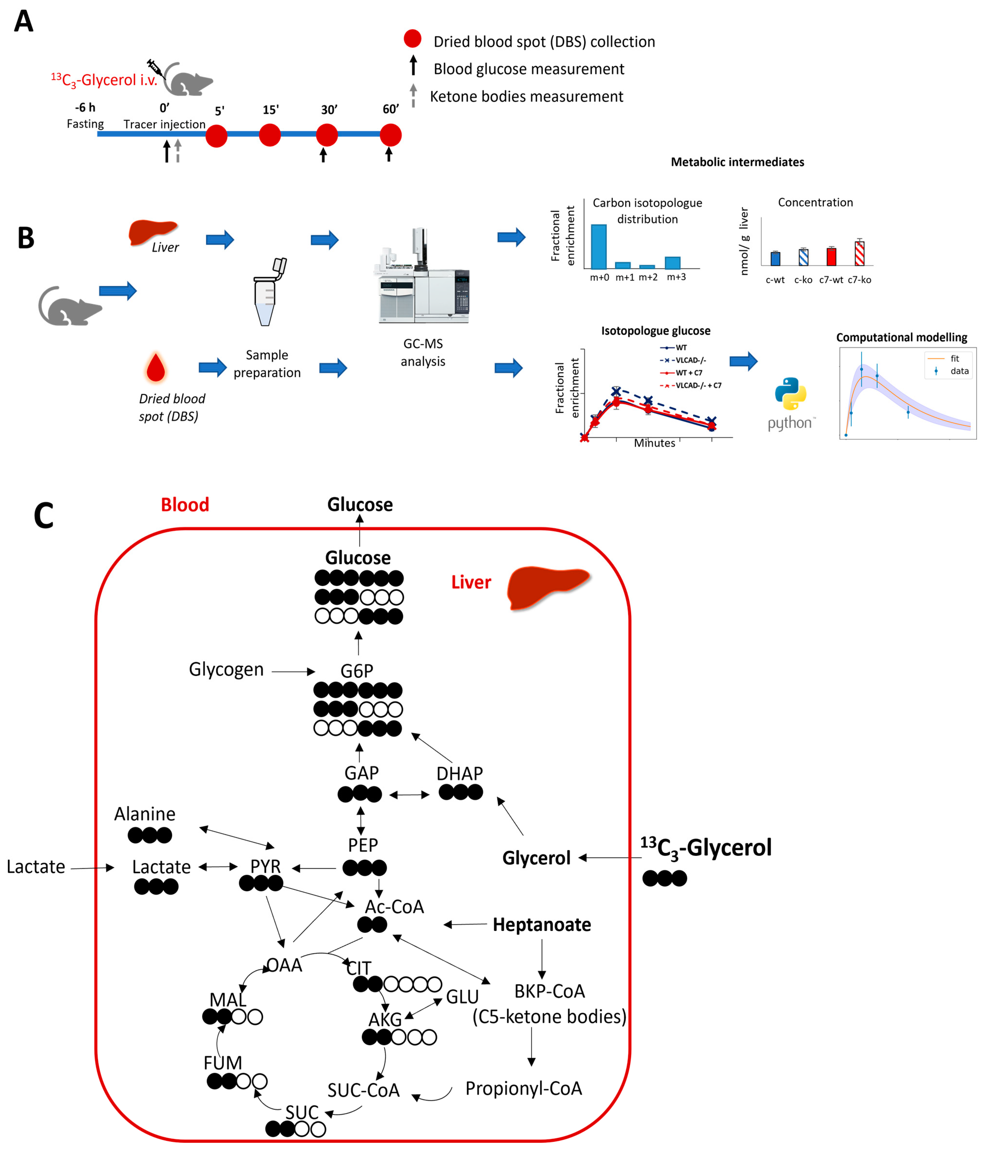 Nutrients 15 04689 g001 Nutrients 15 04689 g001