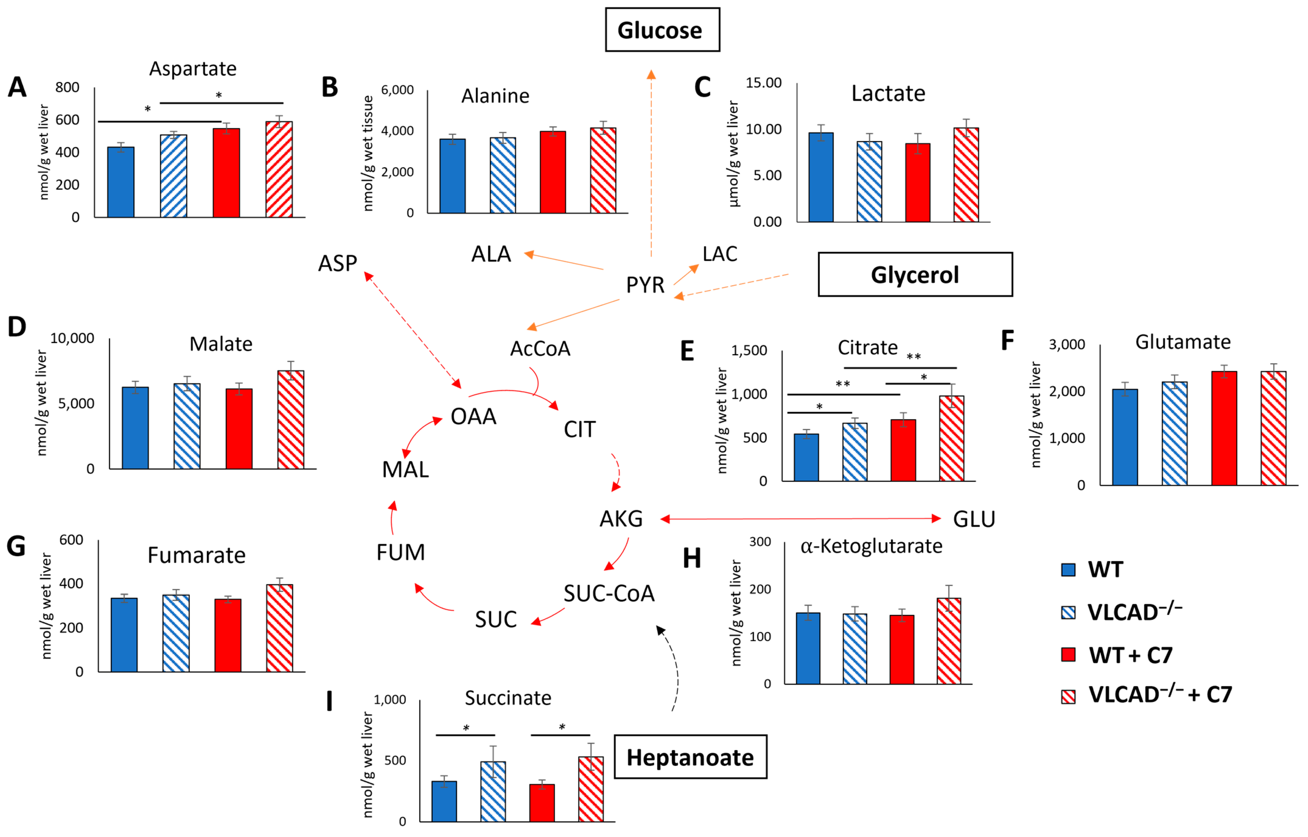 Nutrients 15 04689 g005 Nutrients 15 04689 g005