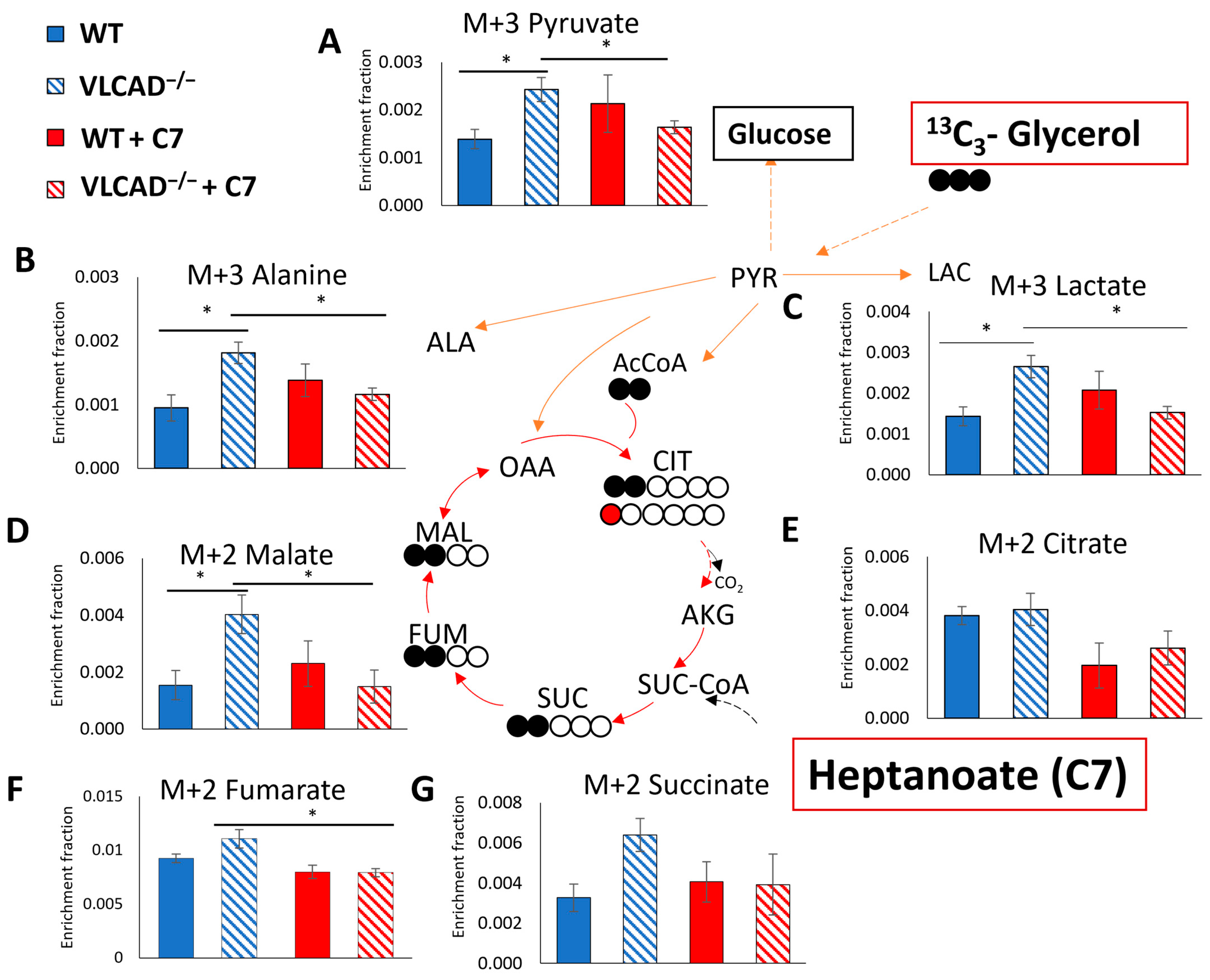 Nutrients 15 04689 g006 Nutrients 15 04689 g006