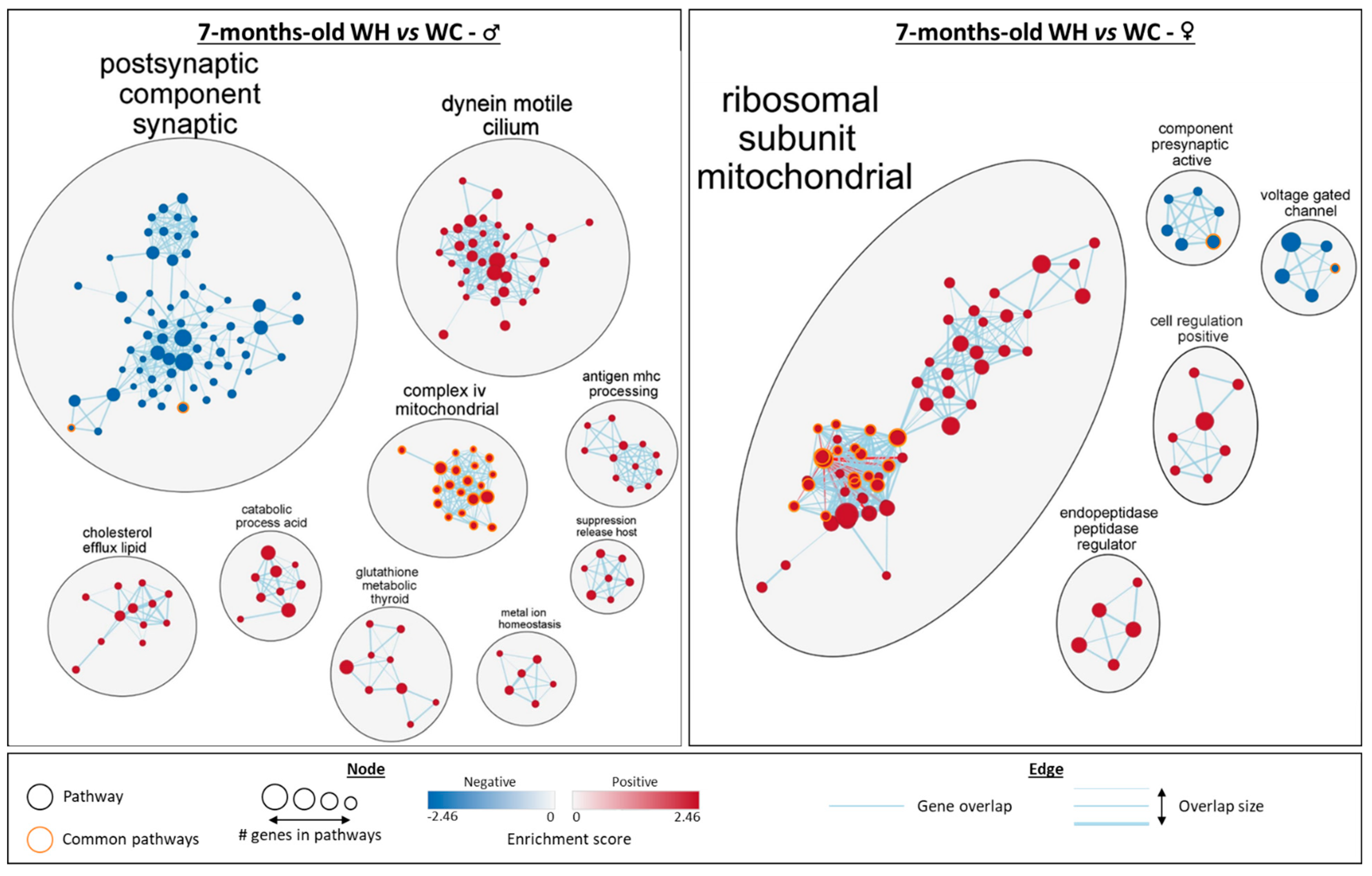 Nutrients 15 04691 g006
