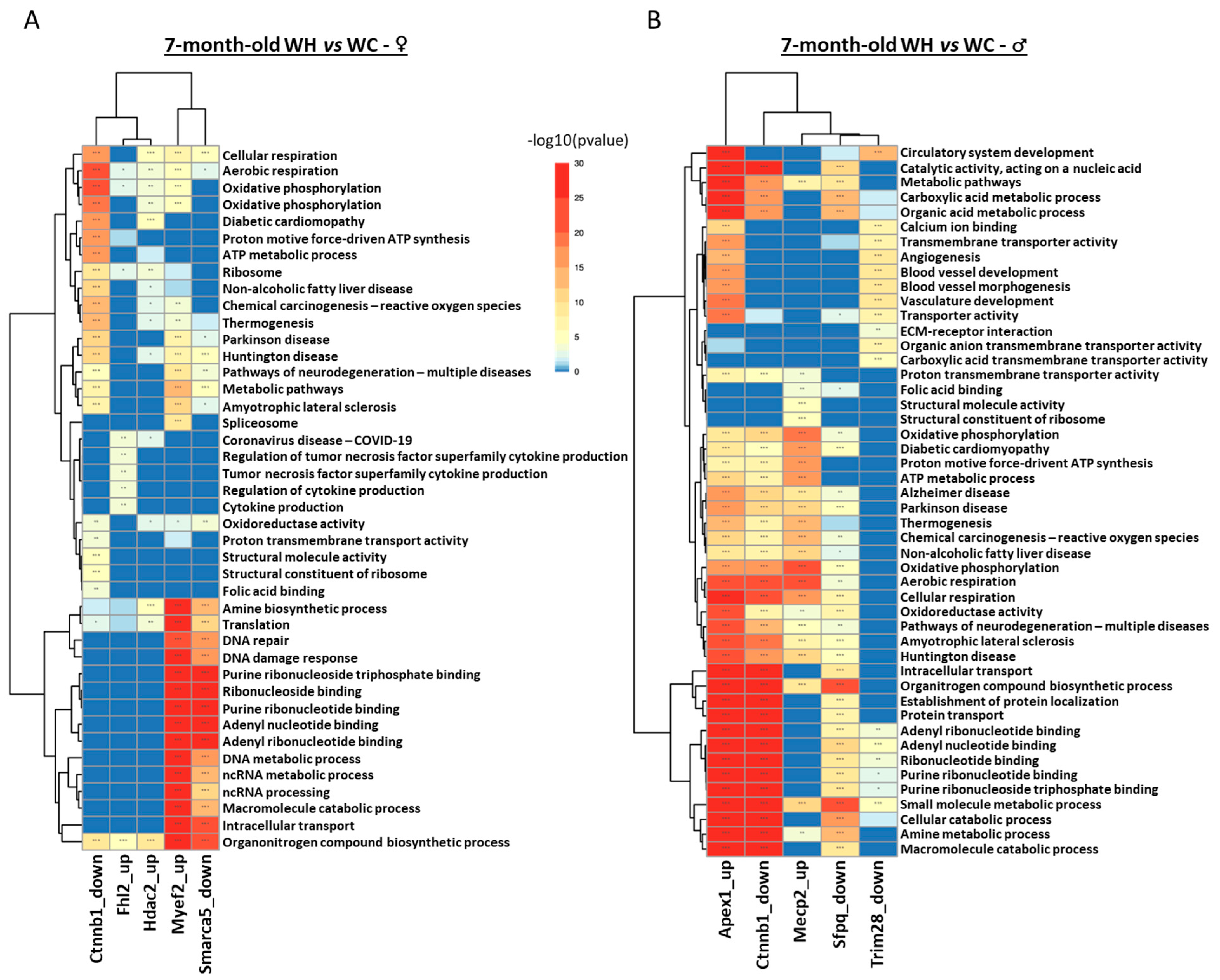 Nutrients 15 04691 g008
