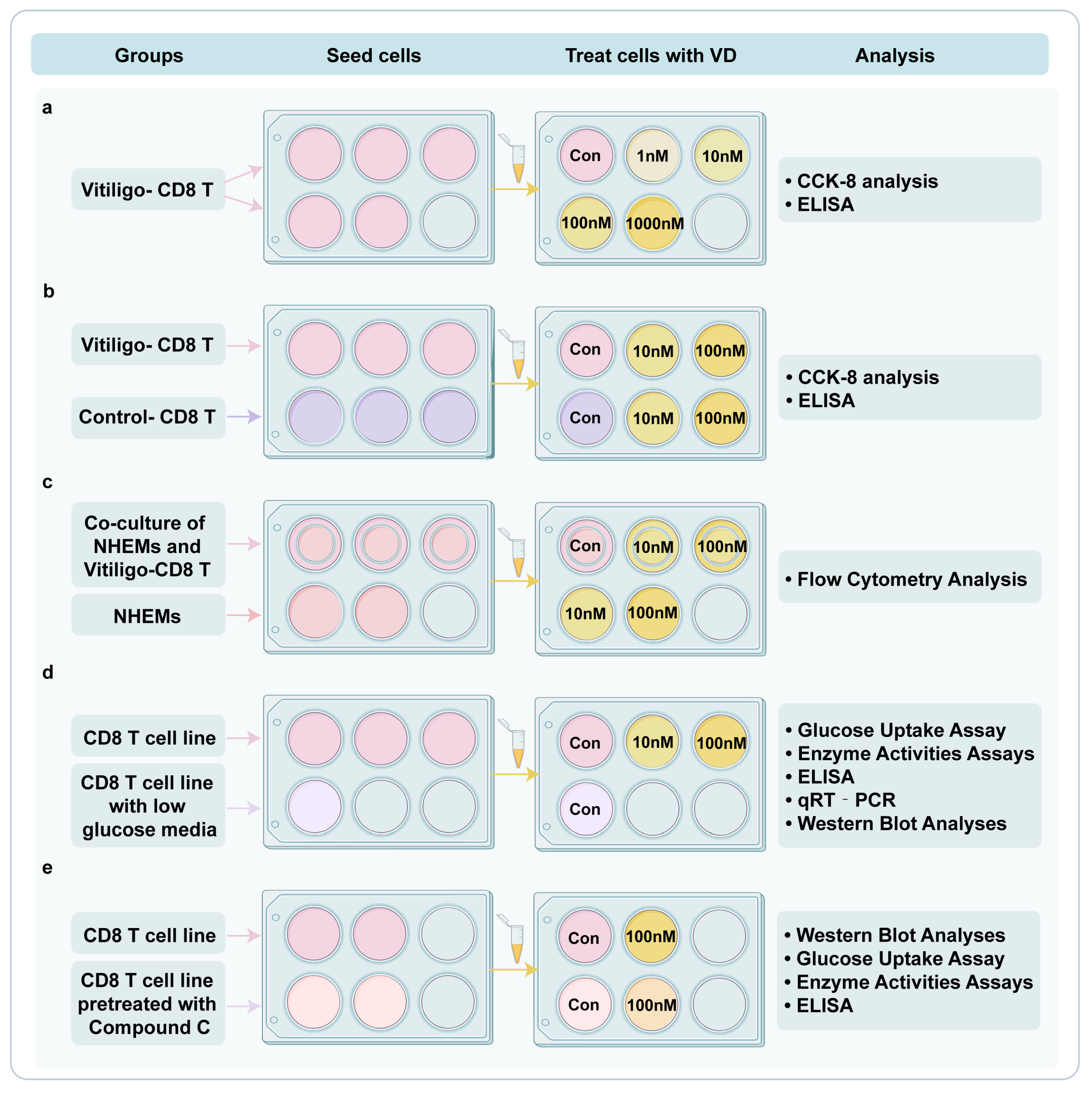 Nutrients 15 04697 g001