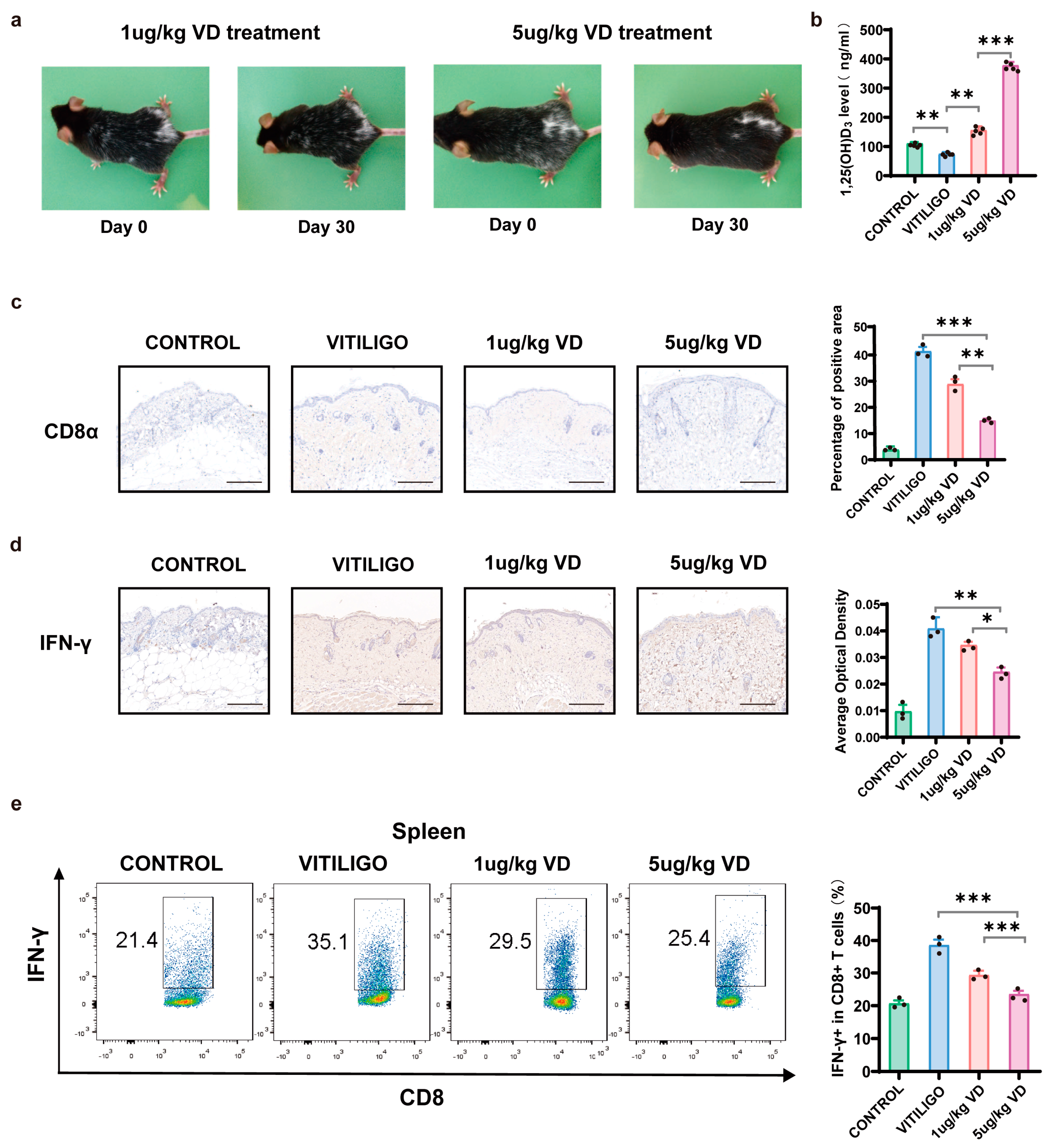 Nutrients 15 04697 g006