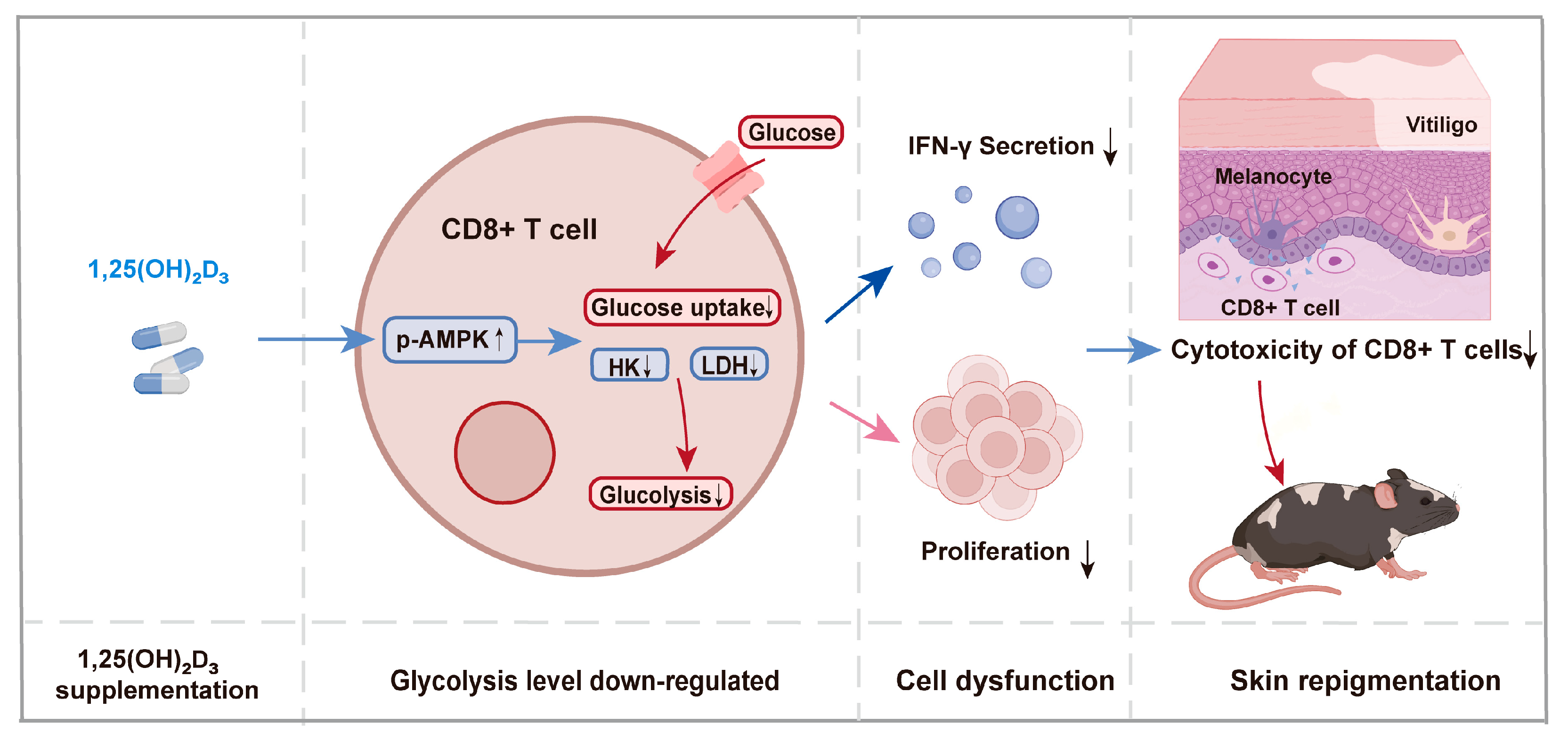 Nutrients 15 04697 g007
