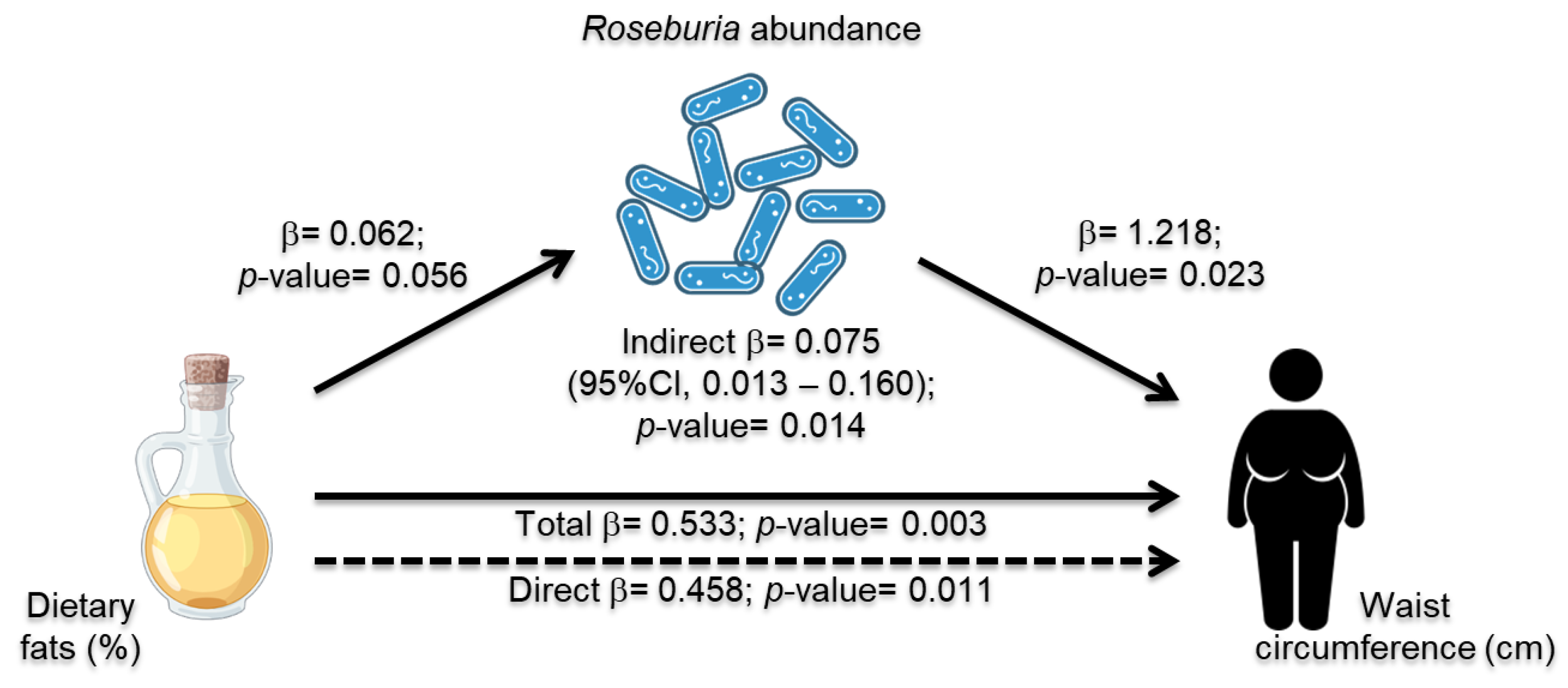 Nutrients 15 04704 g004