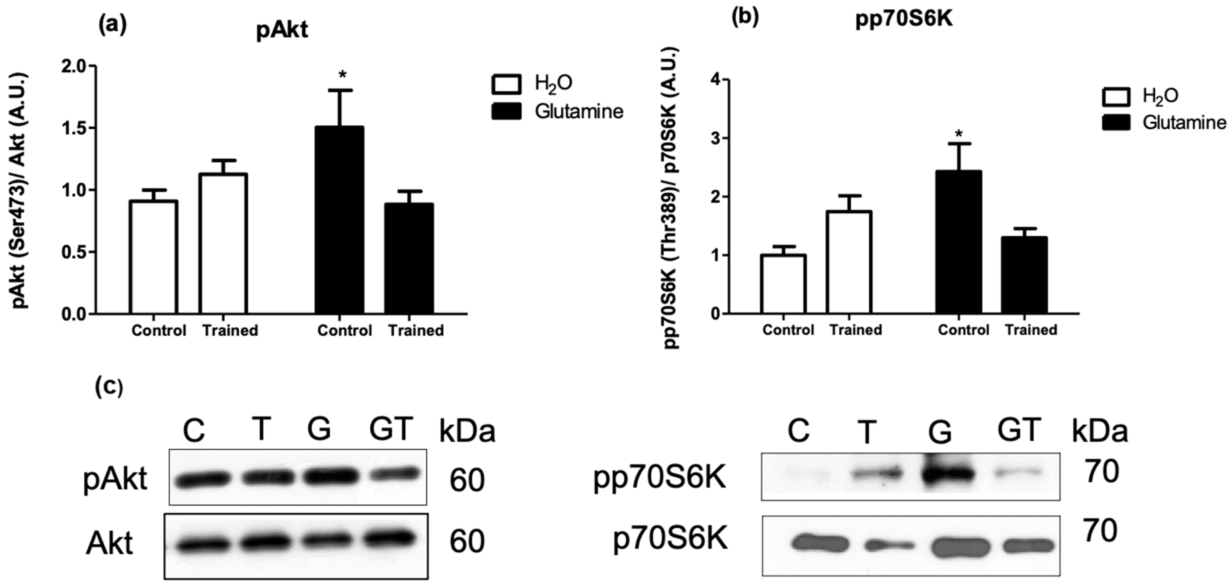 Nutrients 15 04711 g003 Nutrients 15 04711 g003