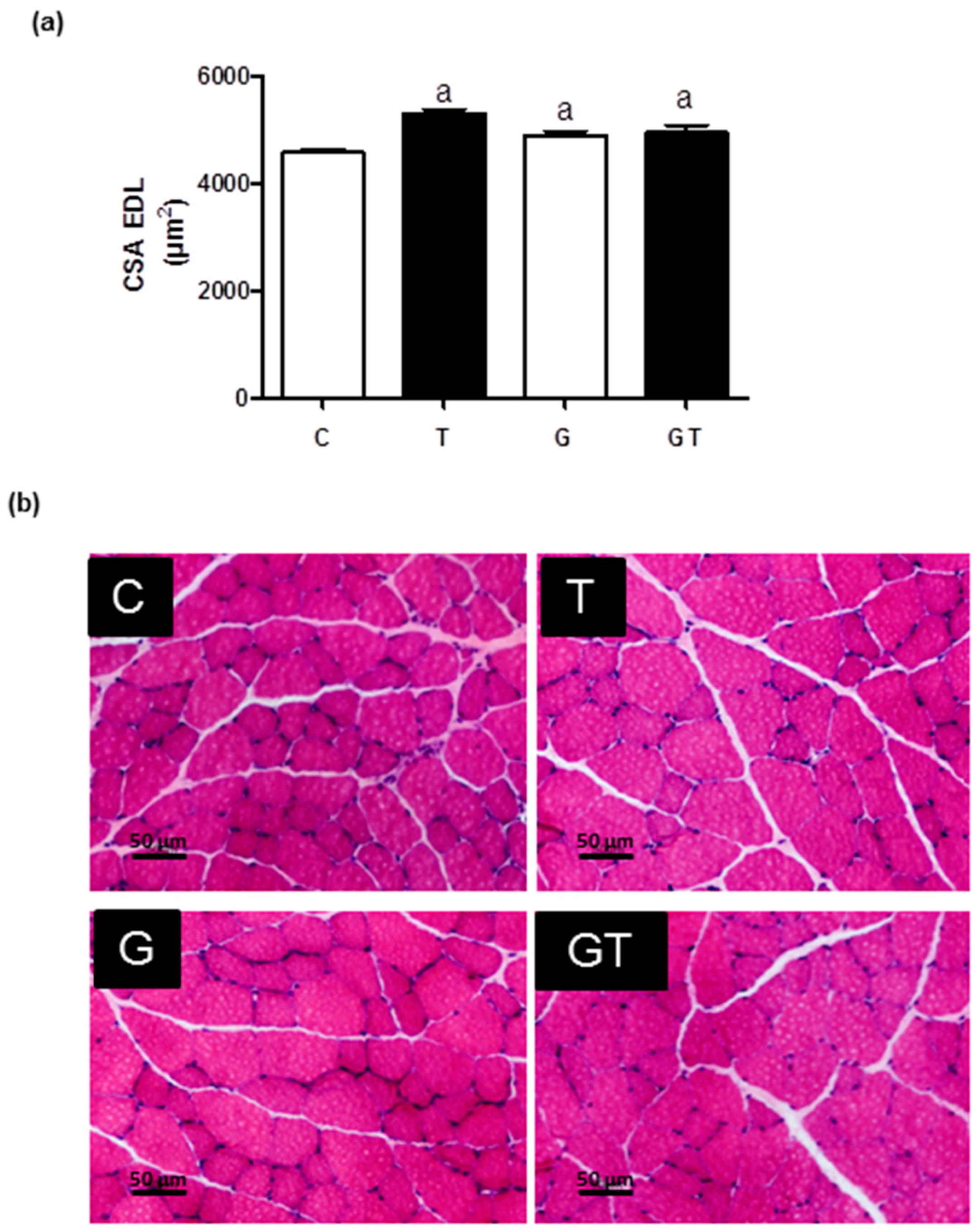 Nutrients 15 04711 g006 Nutrients 15 04711 g006