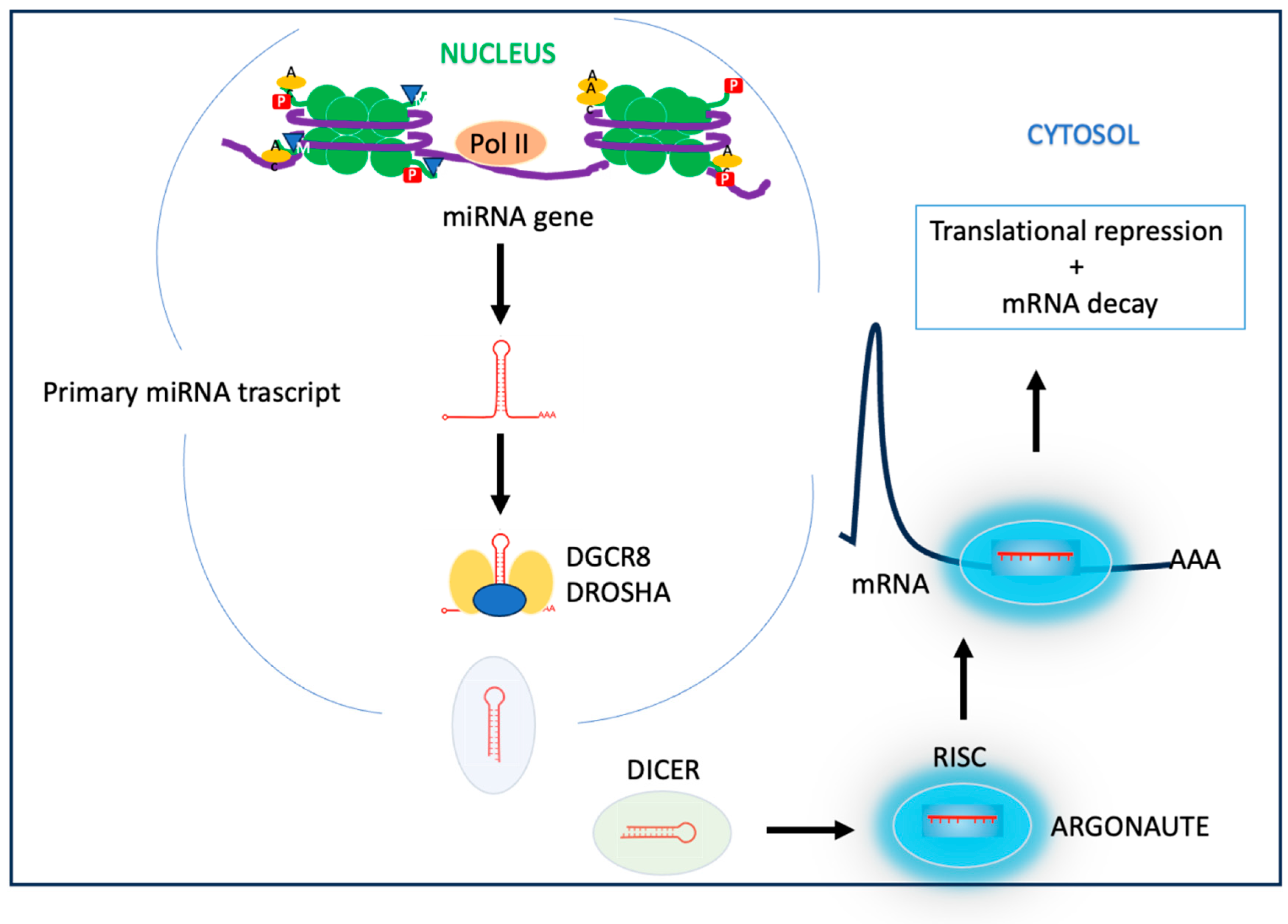 Nutrients 15 04719 g003 Nutrients 15 04719 g003