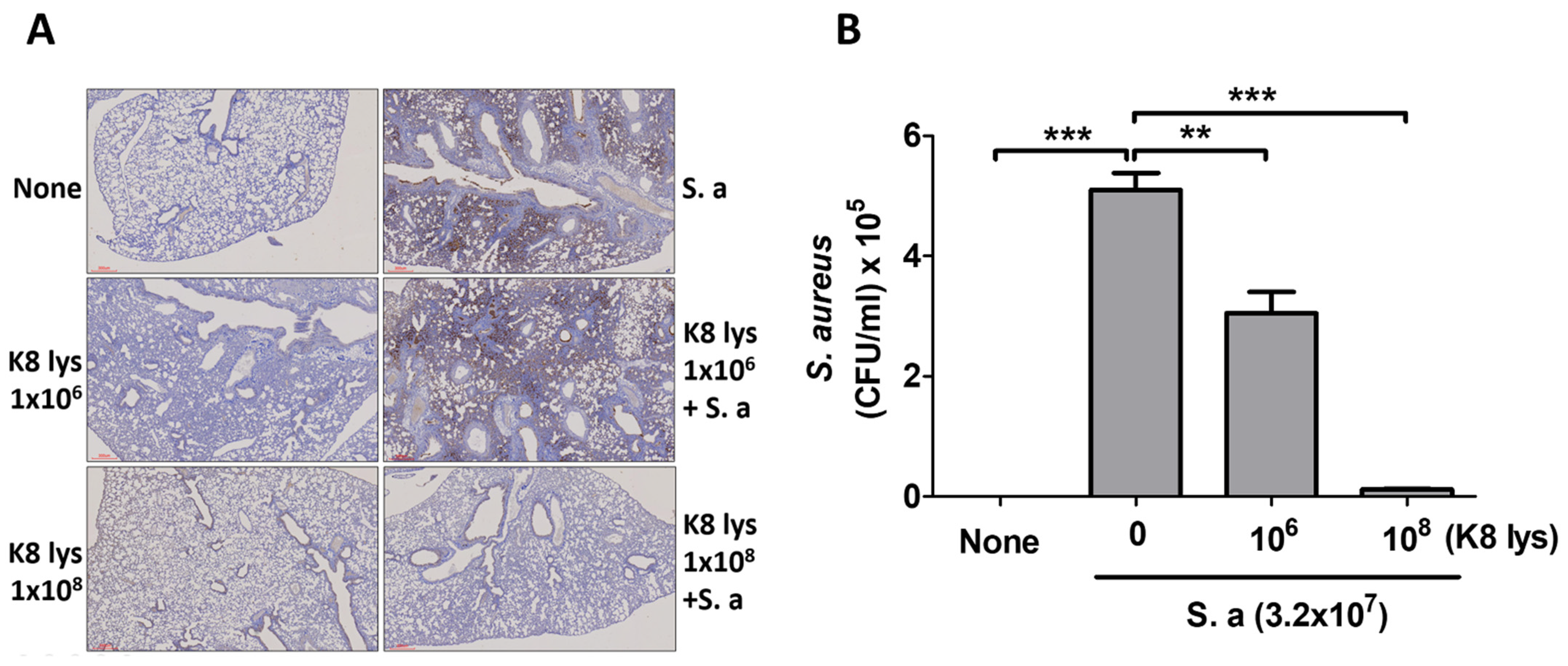 Nutrients 15 04728 g001