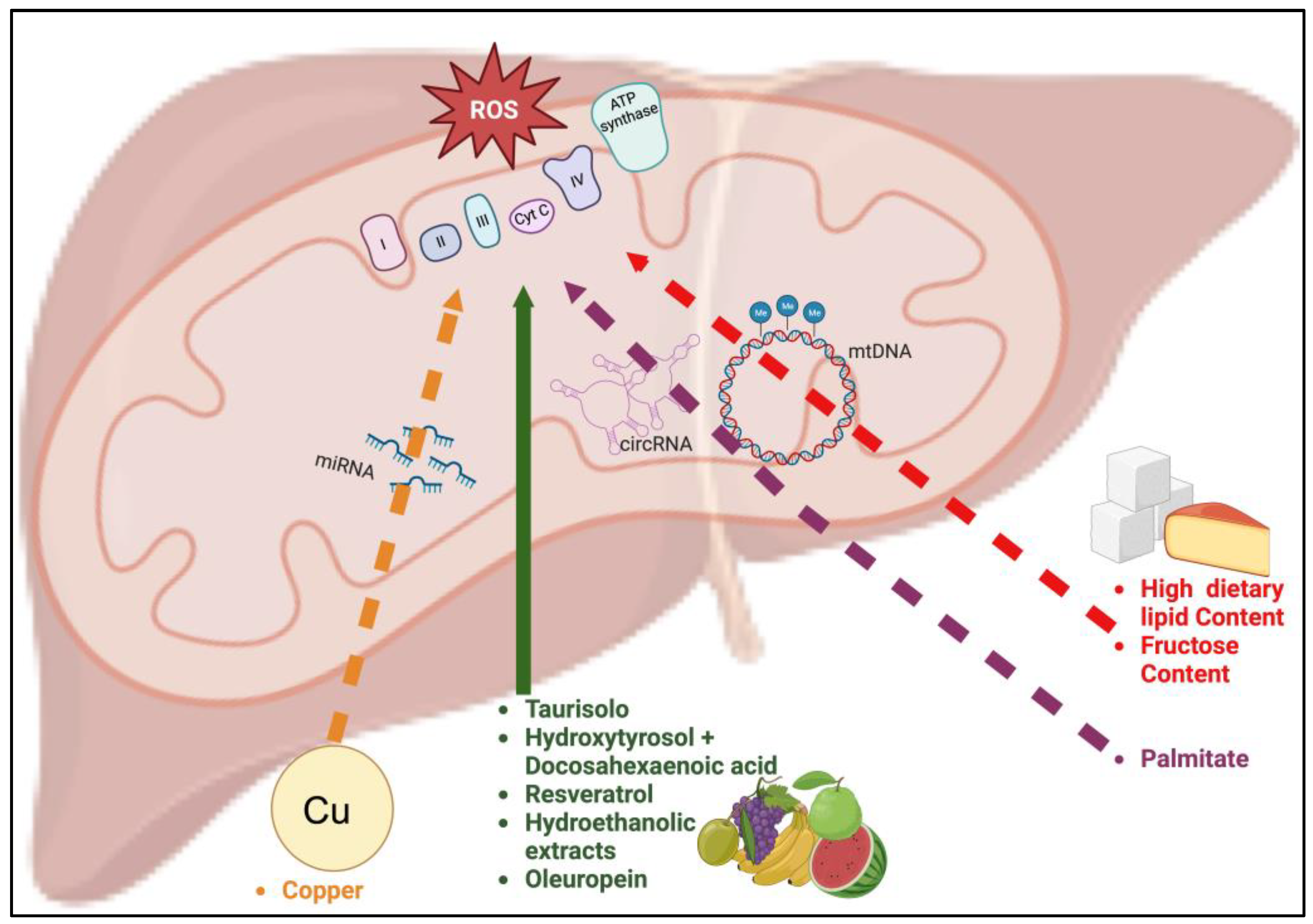 Nutrients 15 04757 g001
