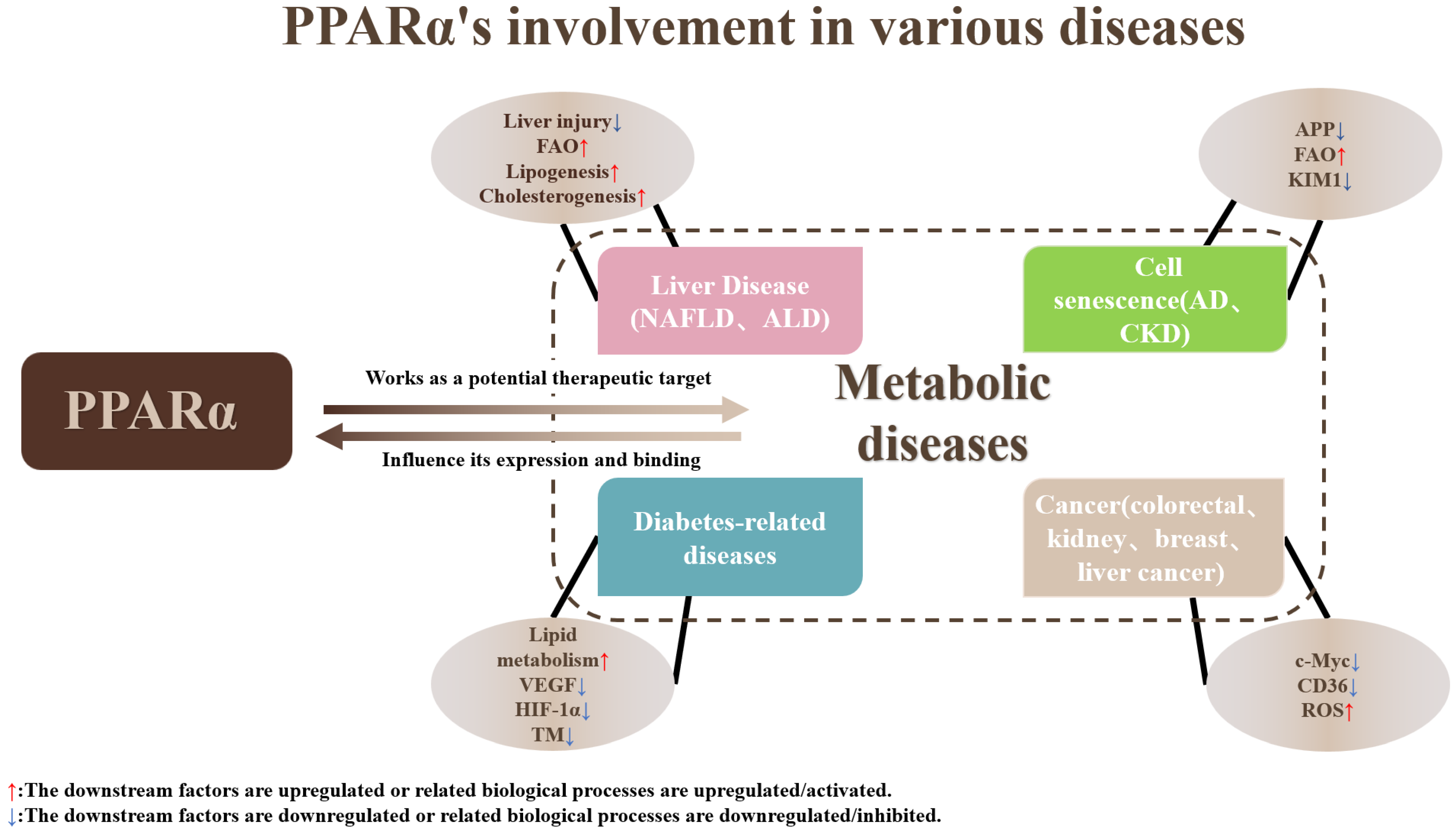 Nutrients 15 04772 g002