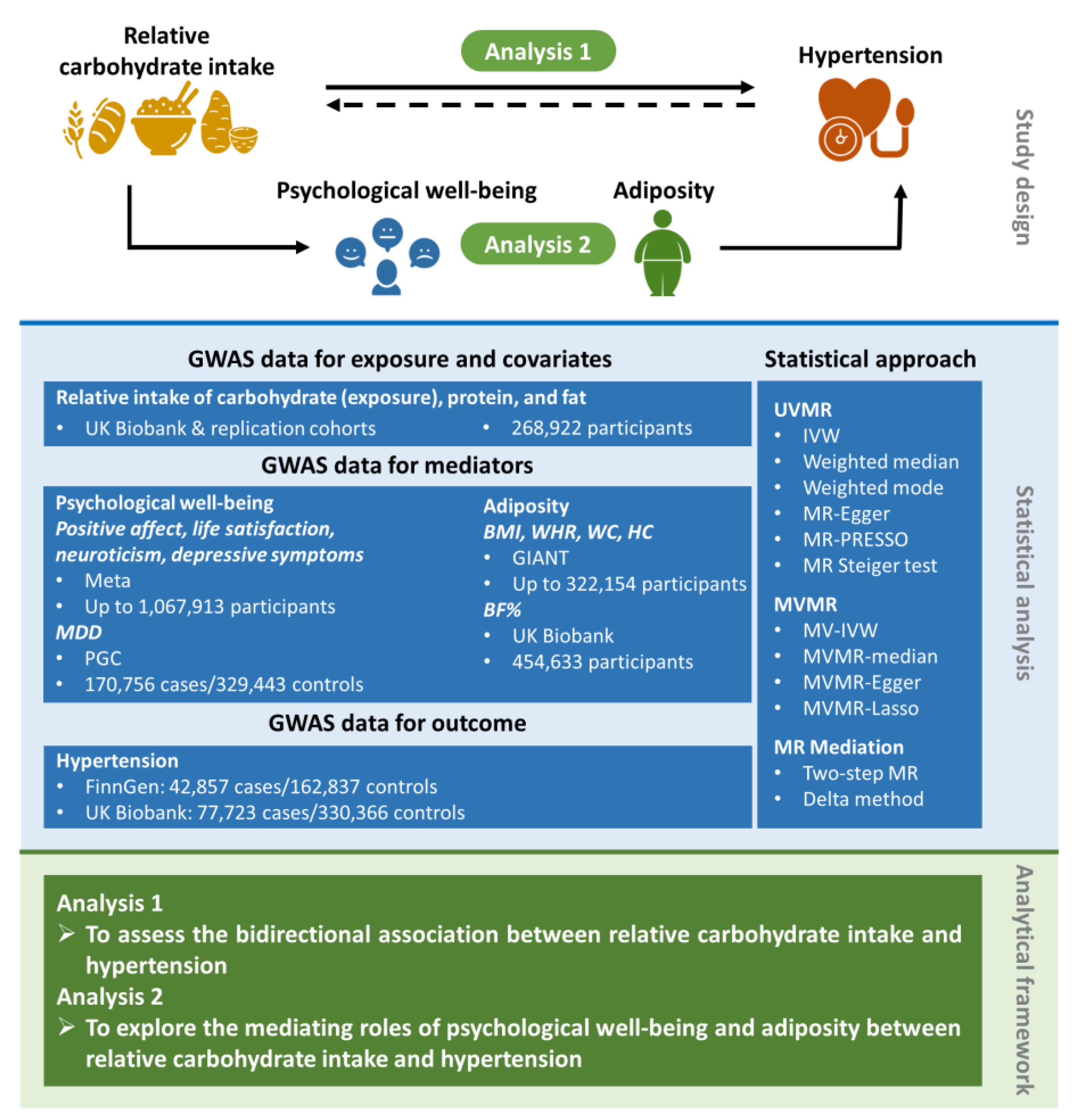 Nutrients 15 04817 g001 Nutrients 15 04817 g001