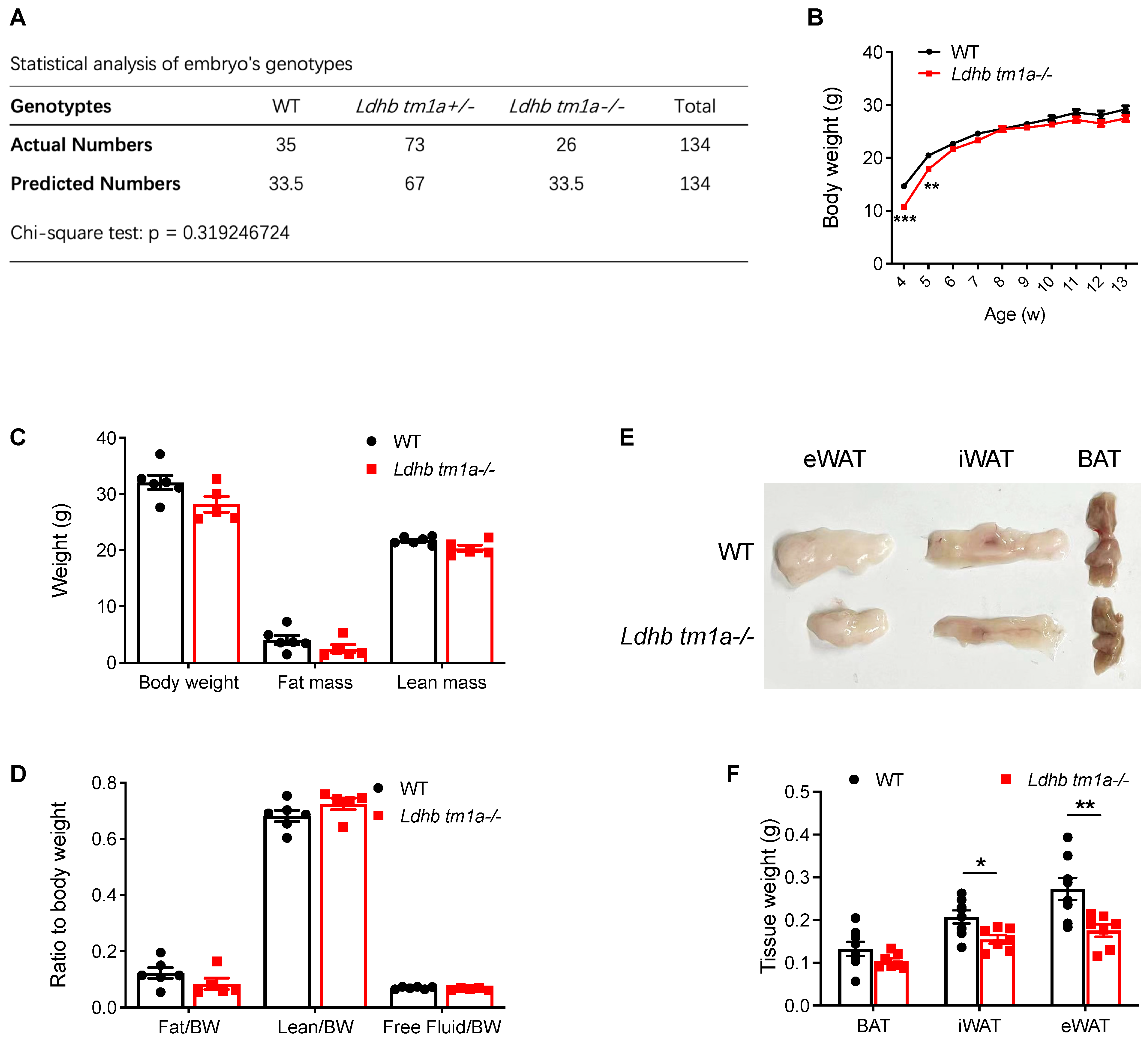 Nutrients 15 04846 g002