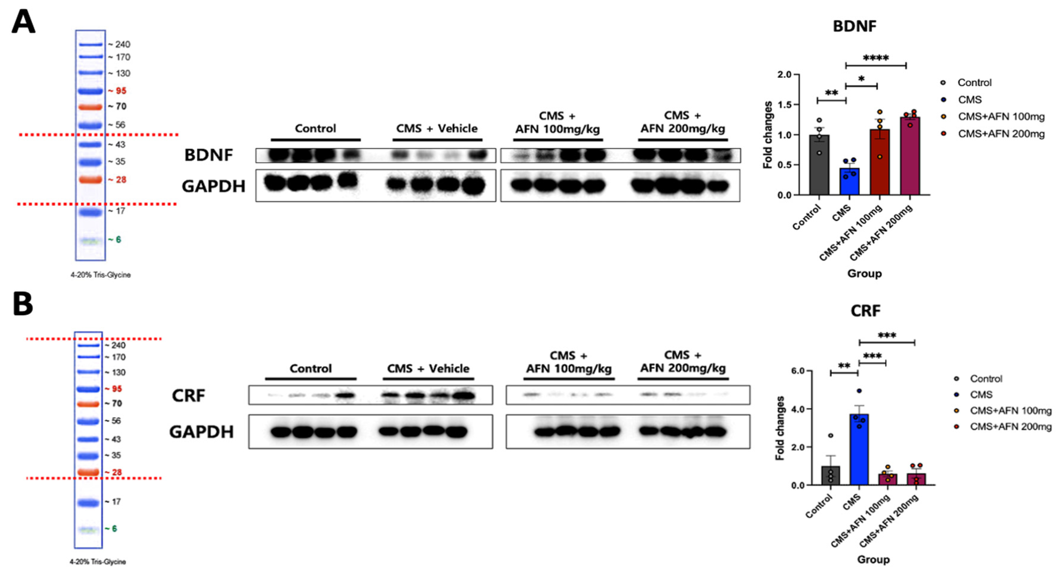 Nutrients 15 04855 g007