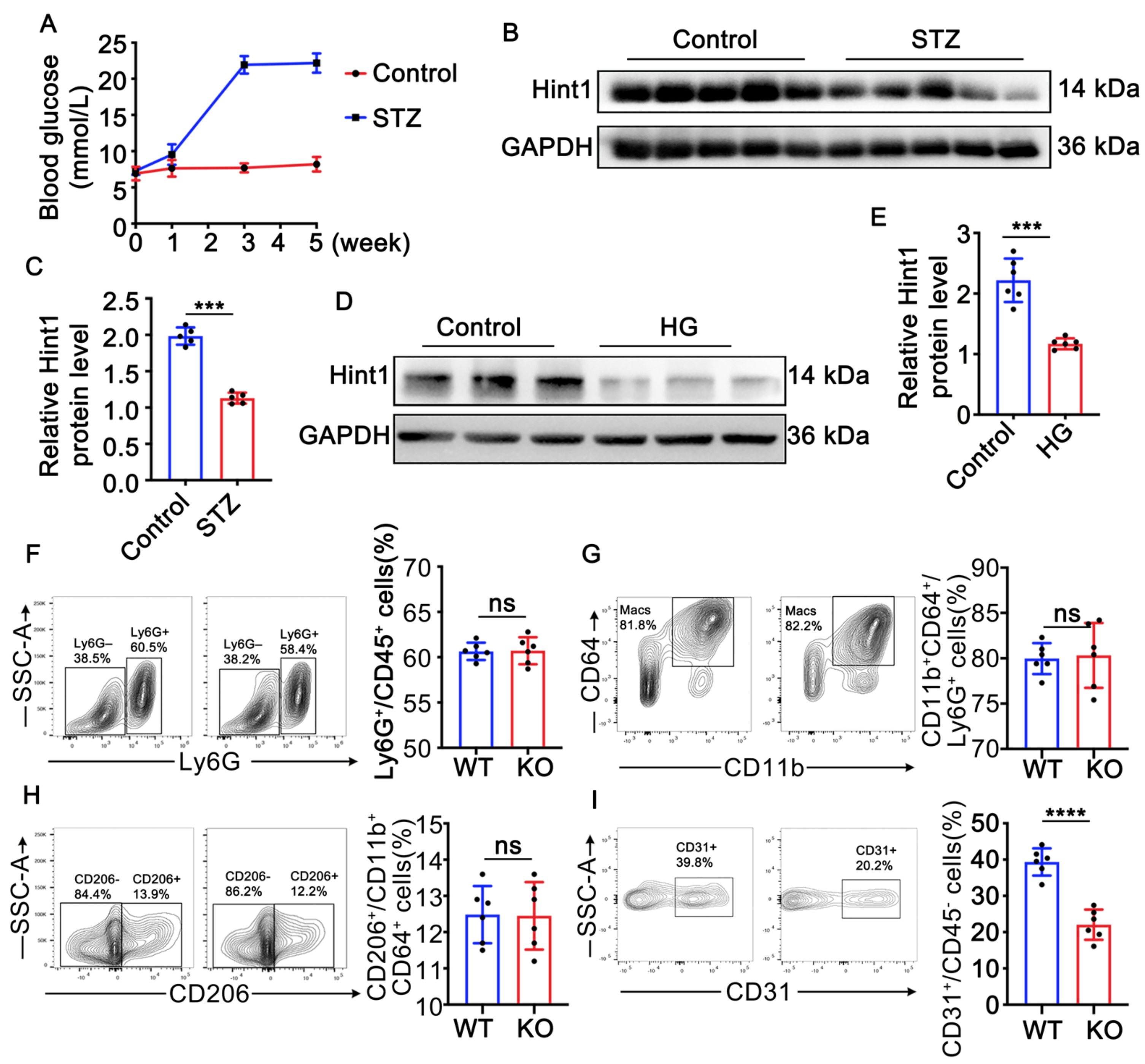 Nutrients 15 04859 g001 Nutrients 15 04859 g001