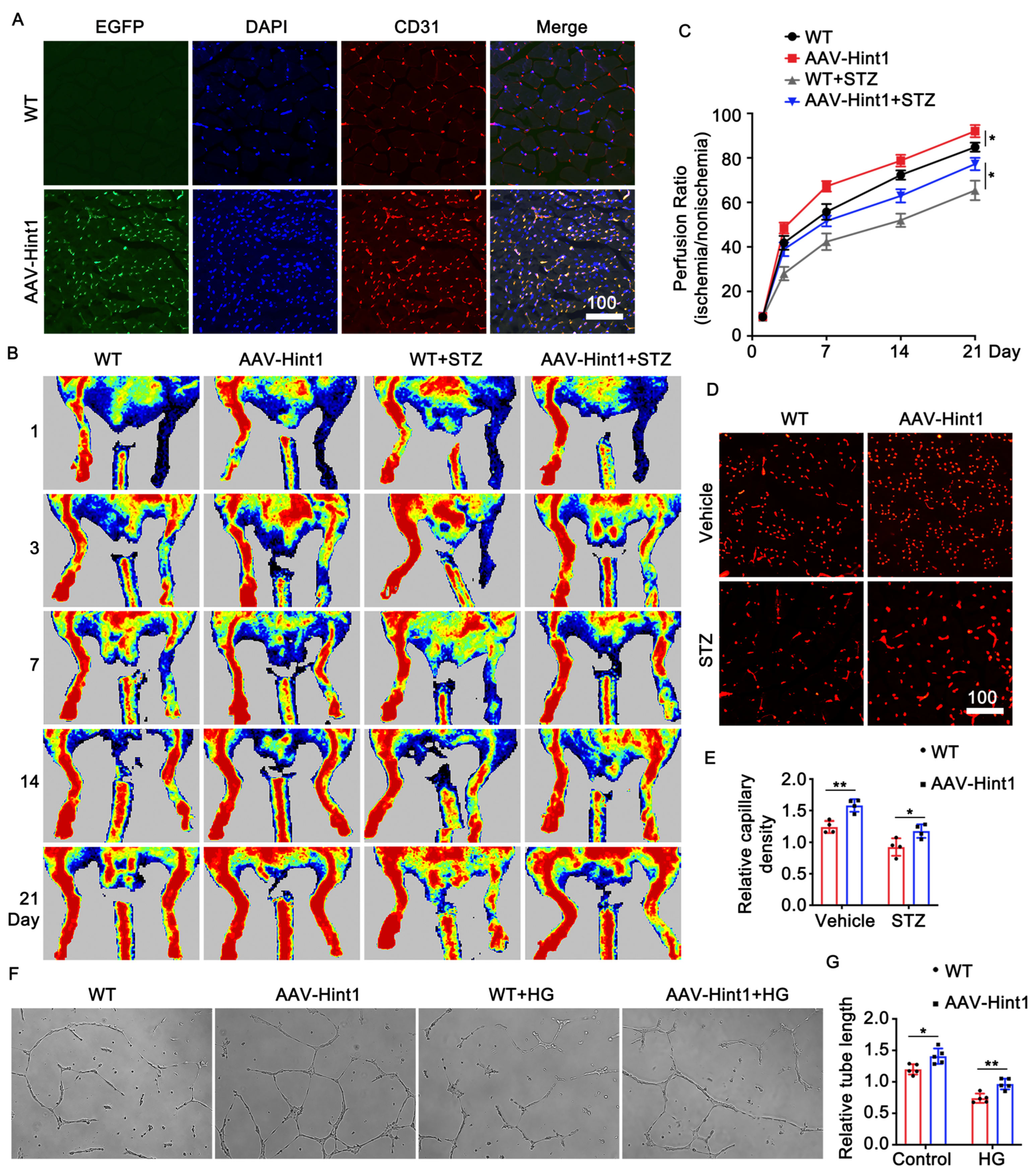 Nutrients 15 04859 g003 Nutrients 15 04859 g003