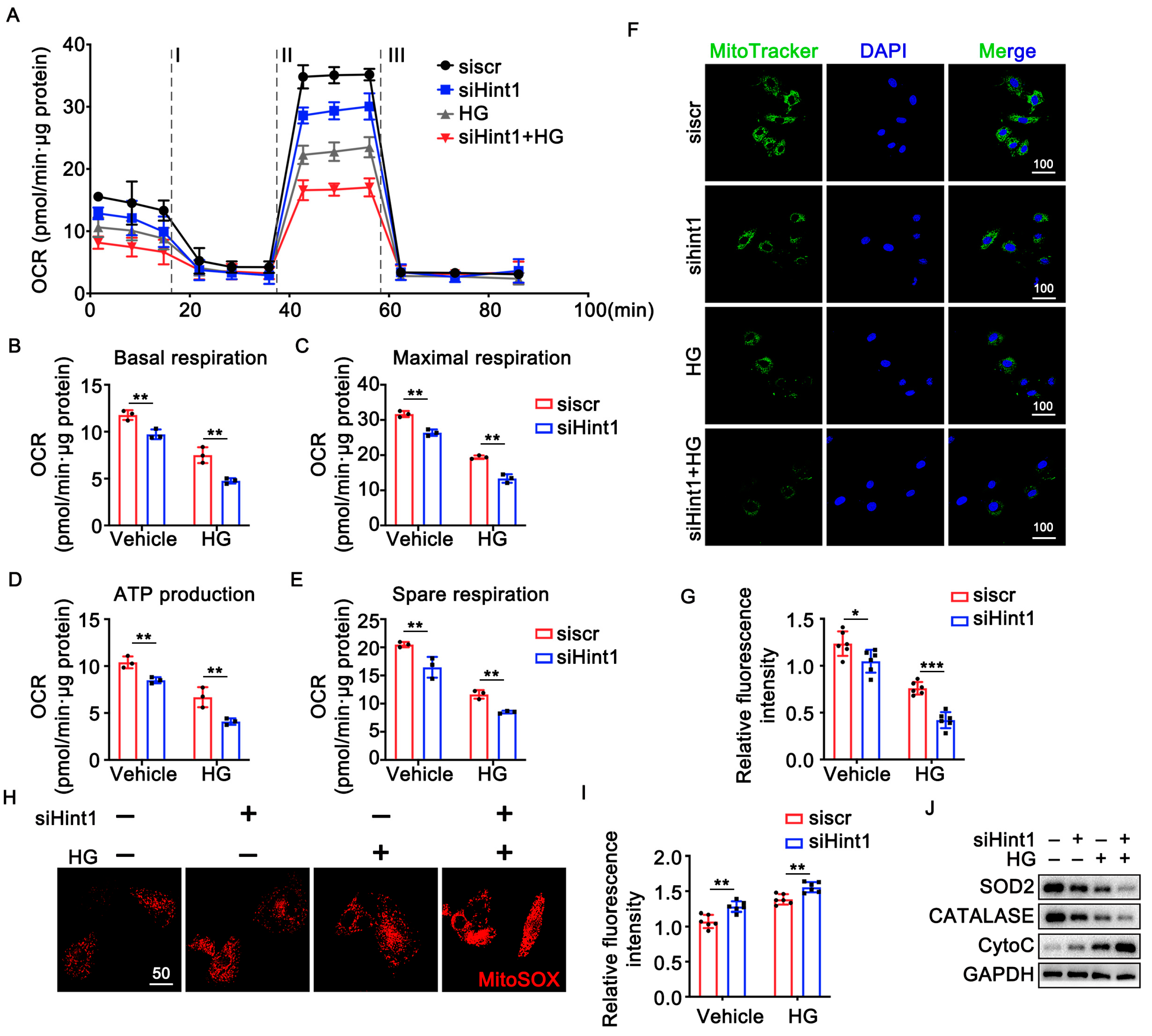 Nutrients 15 04859 g004 Nutrients 15 04859 g004