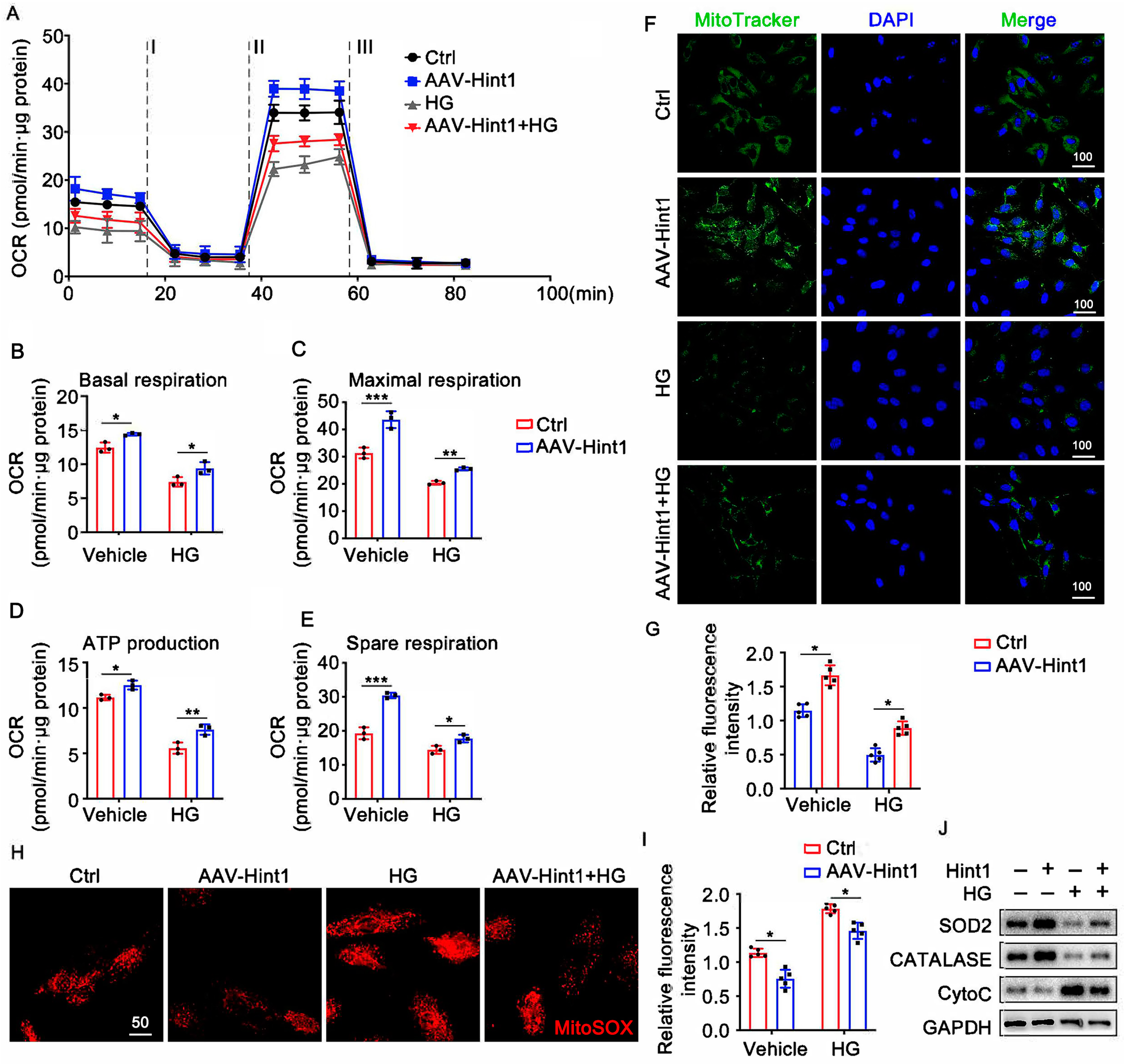 Nutrients 15 04859 g005 Nutrients 15 04859 g005