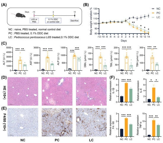 Nutrients 15 04864 g001