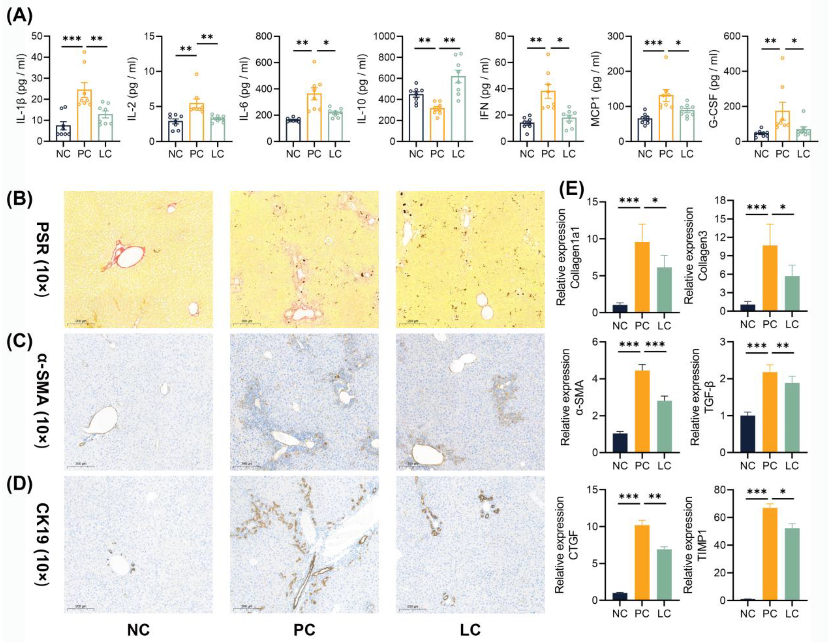 Nutrients 15 04864 g002 Nutrients 15 04864 g002