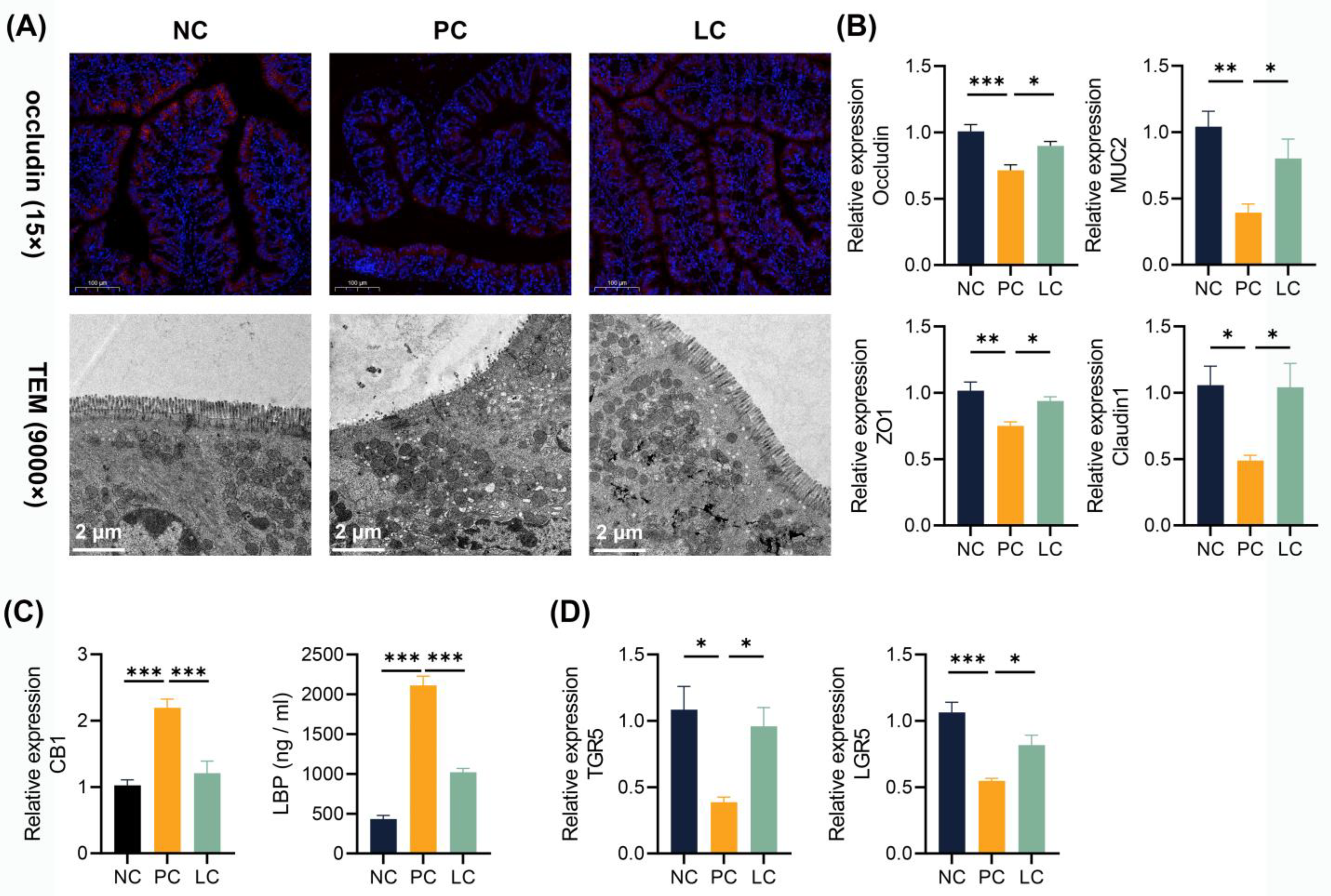 Nutrients 15 04864 g006 Nutrients 15 04864 g006