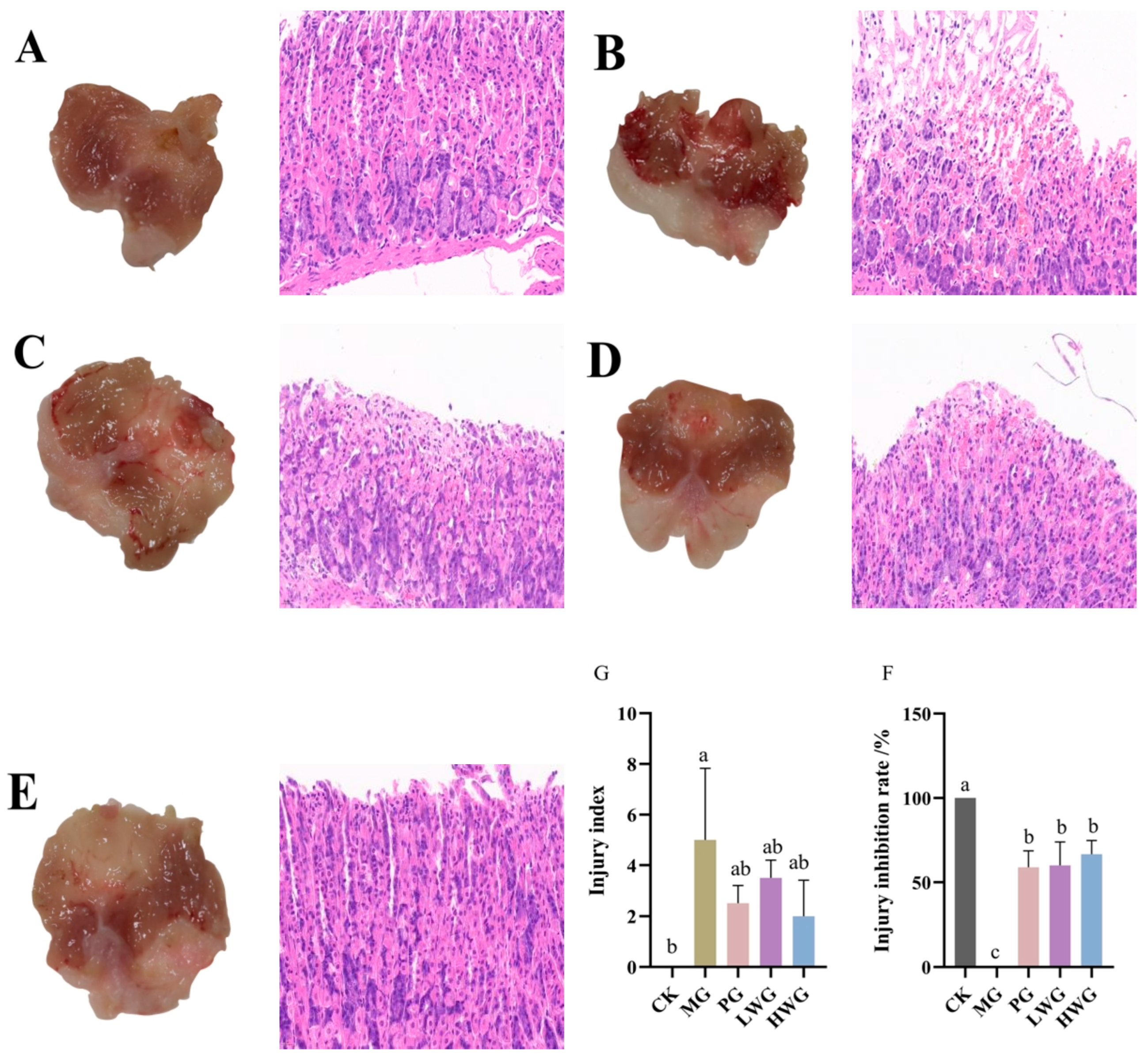 Nutrients 15 04866 g002