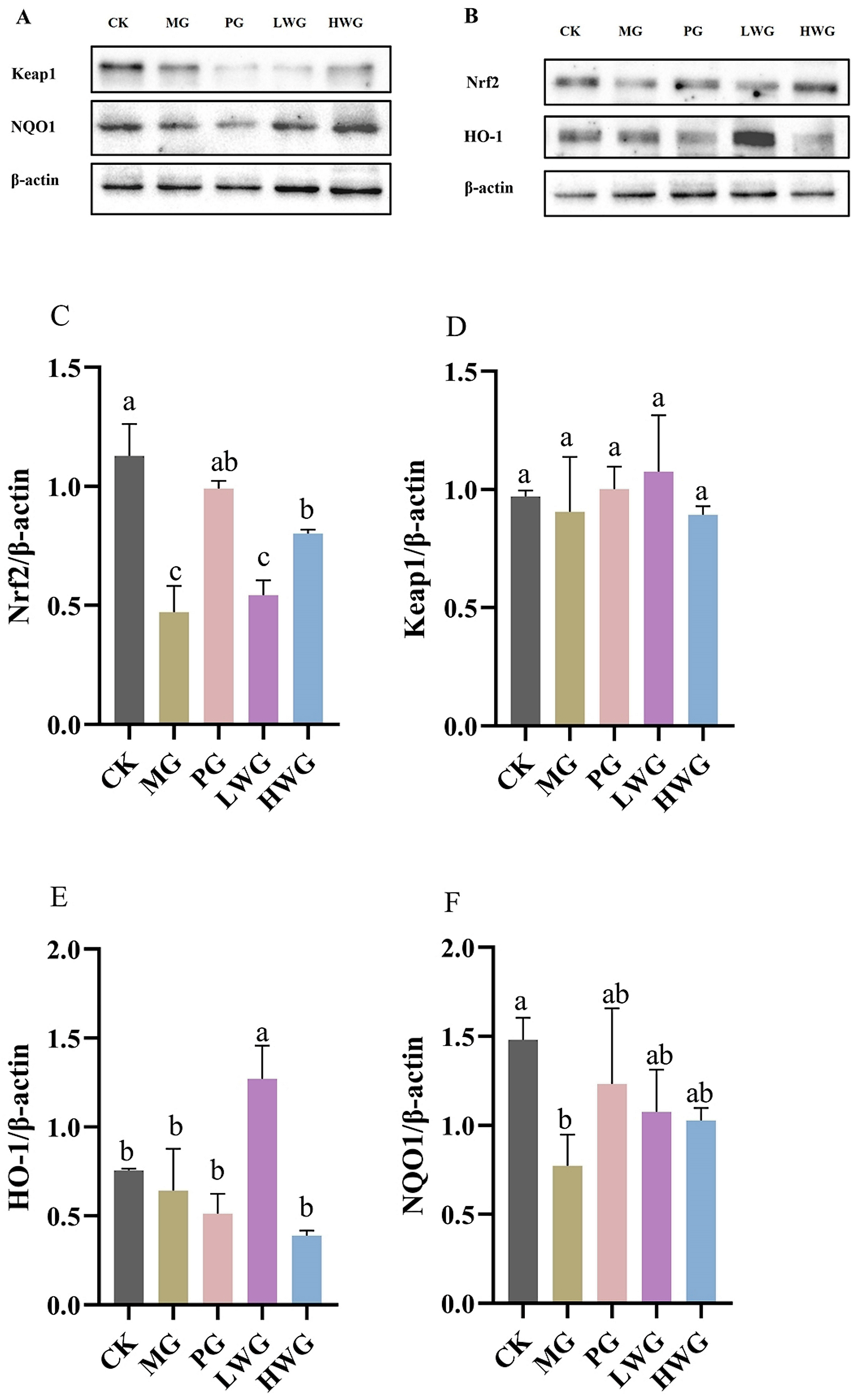 Nutrients 15 04866 g005