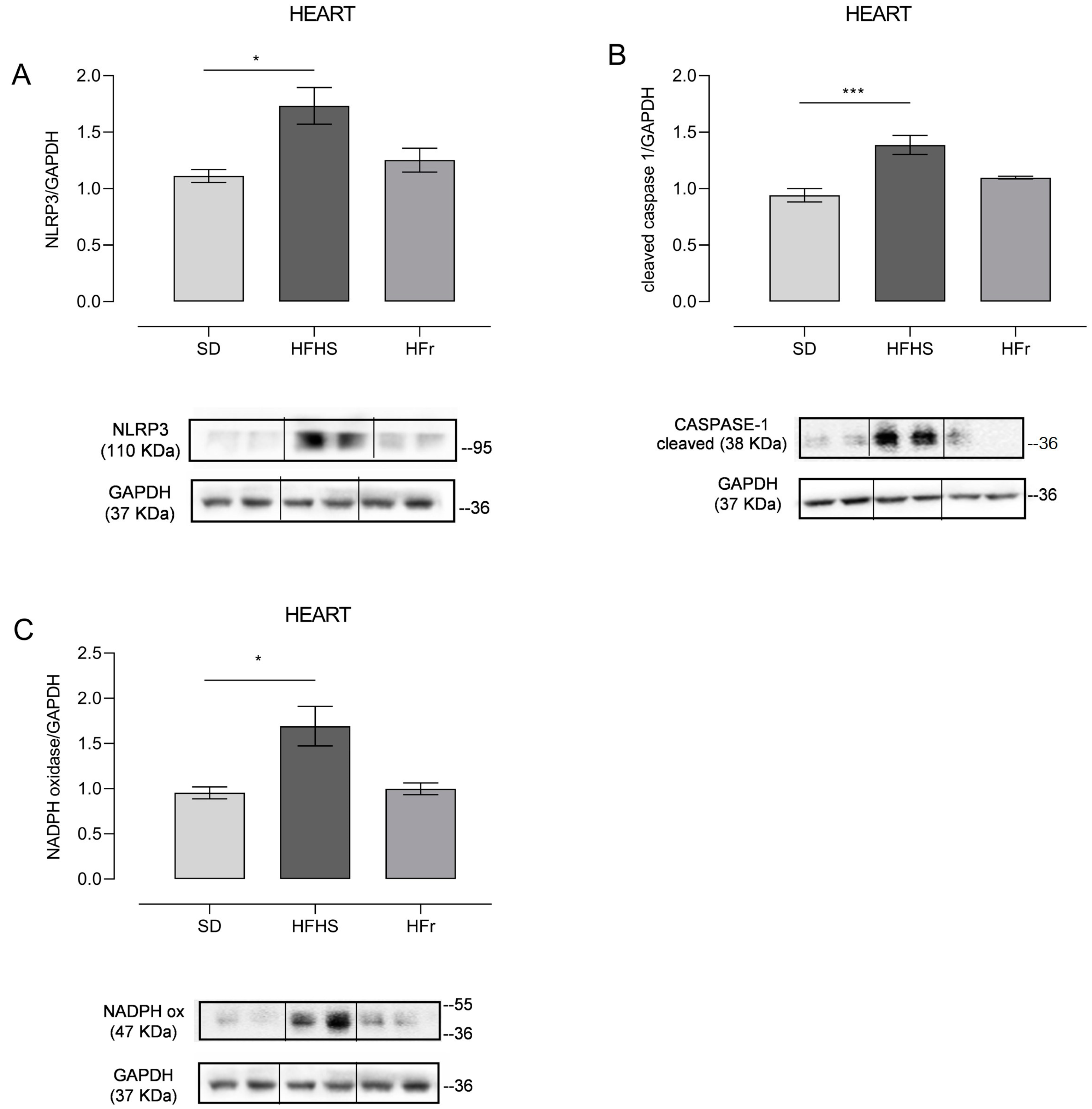 Nutrients 15 04874 g003