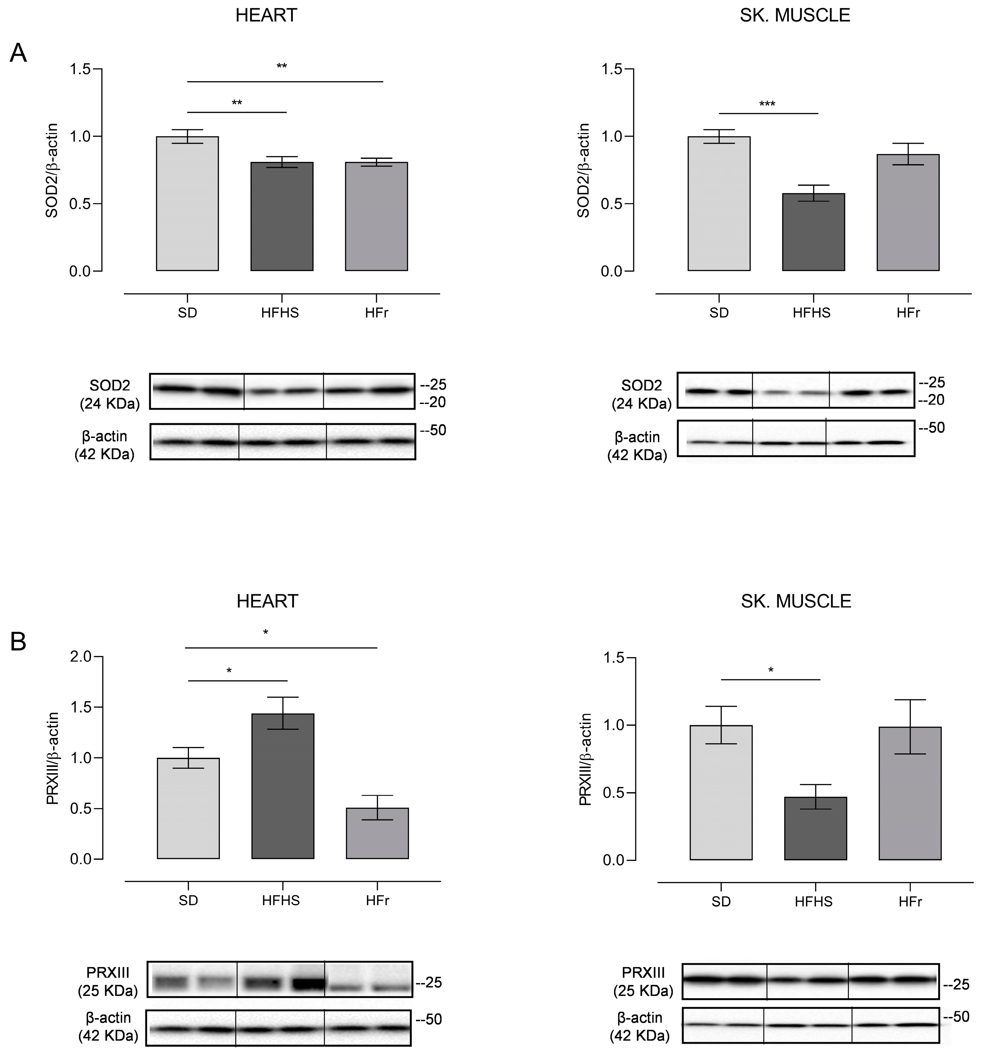 Nutrients 15 04874 g005