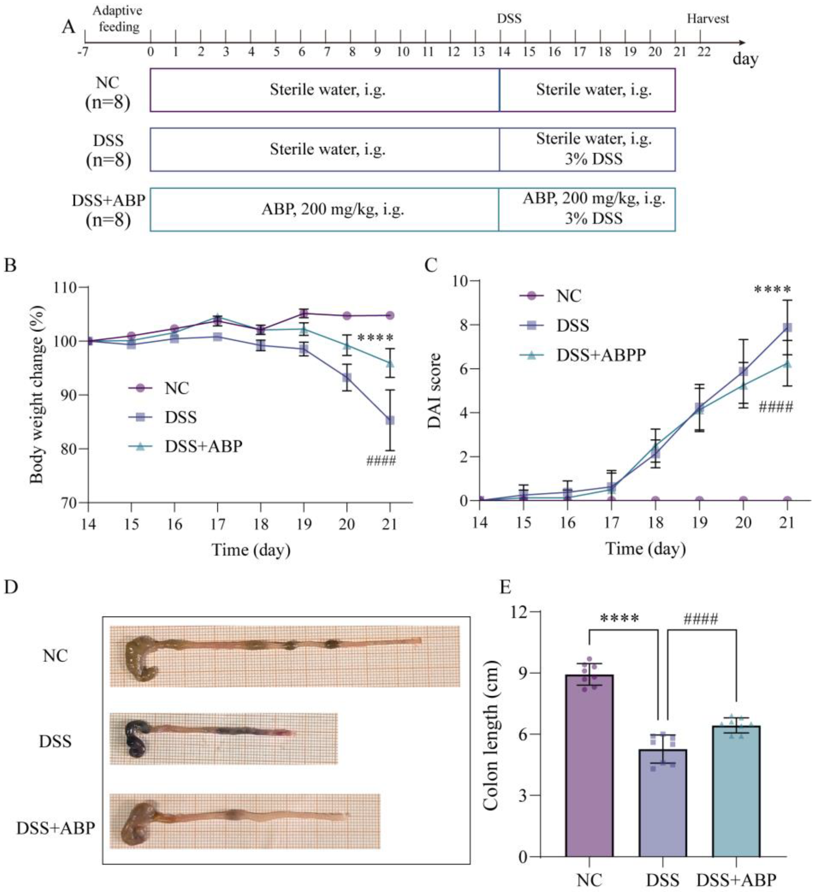 Nutrients 15 04877 g001