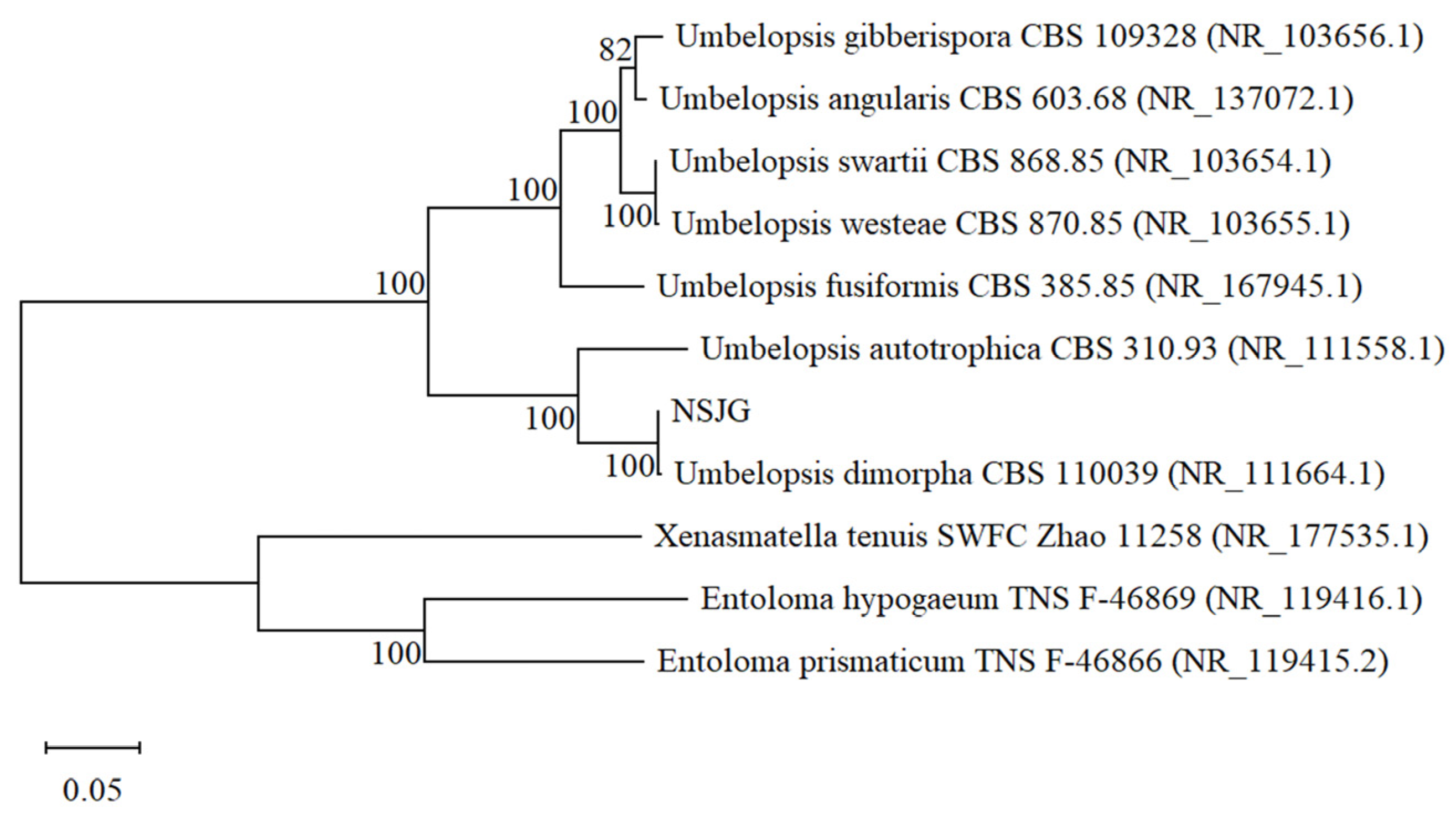 Nutrients 15 04878 g001 Nutrients 15 04878 g001