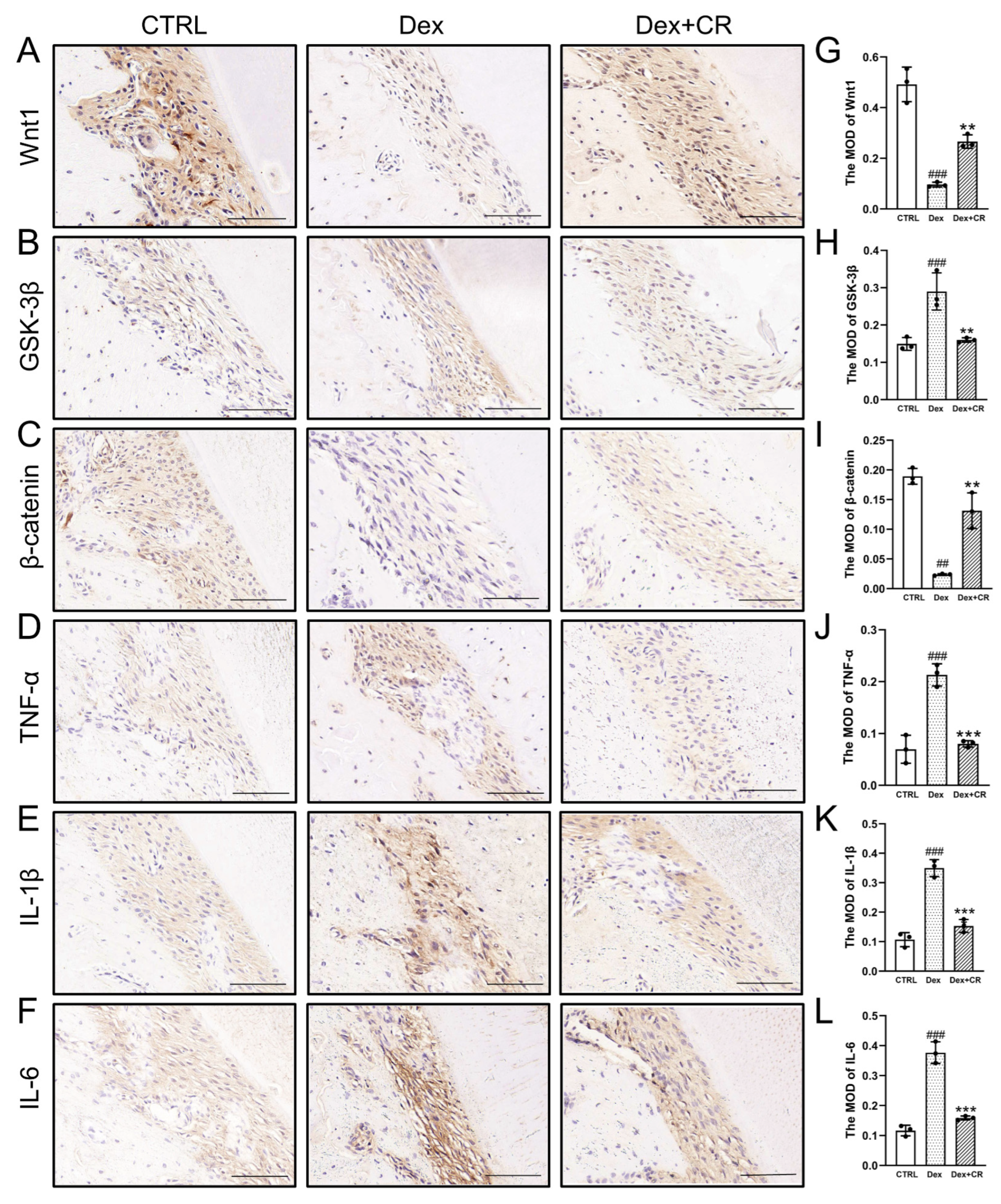 Nutrients 15 04906 g005