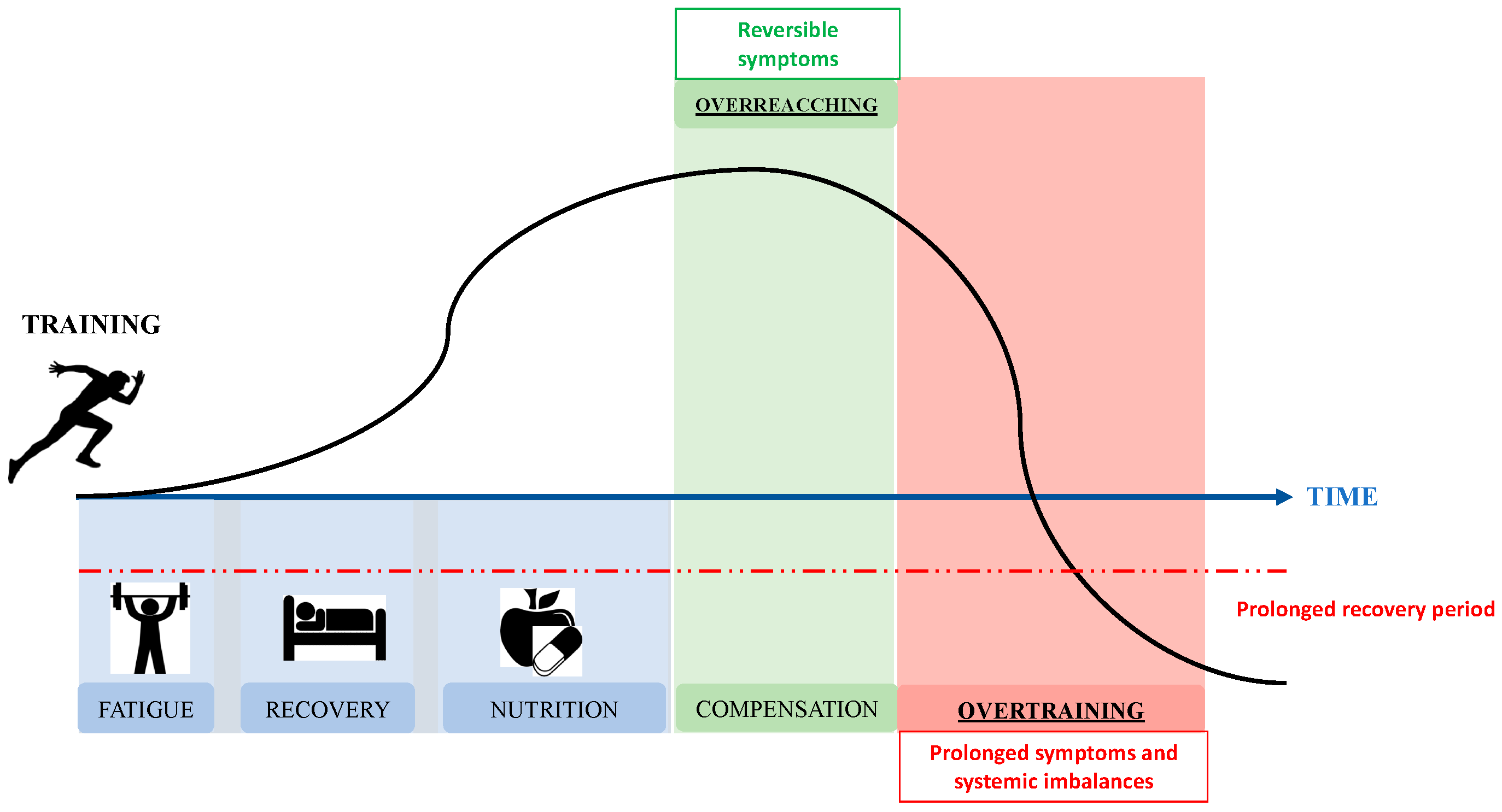Nutrients 15 04916 g001