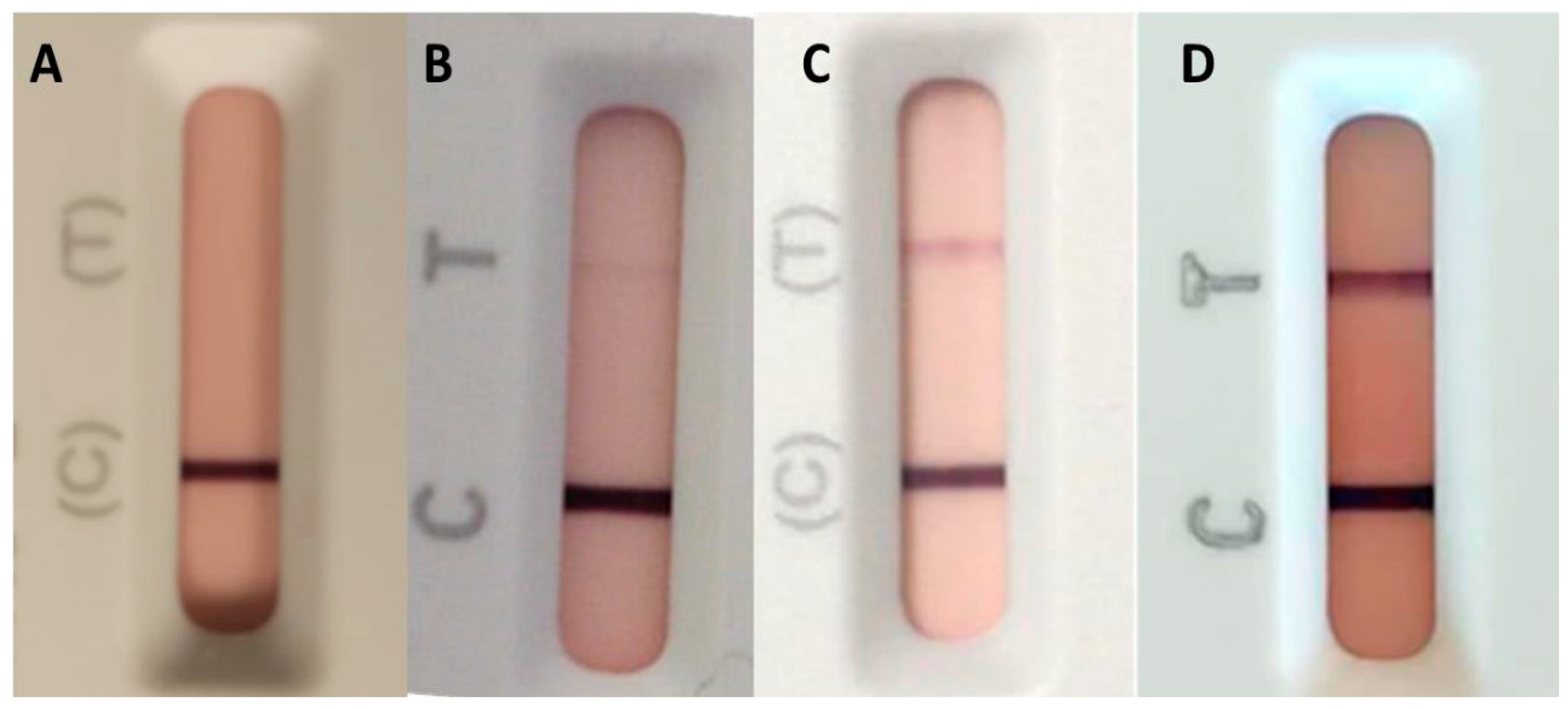 Nutrients 15 04926 g003