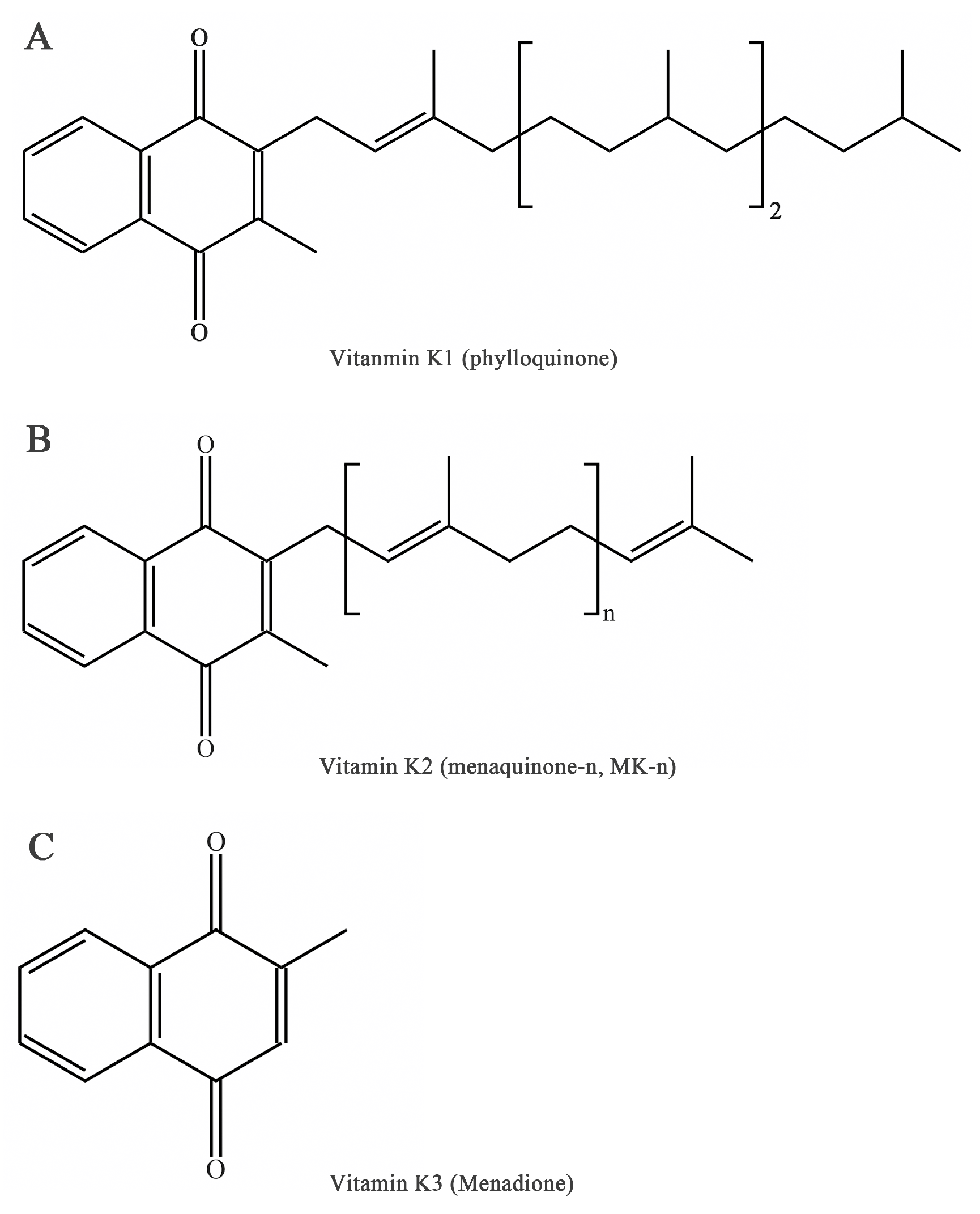 Nutrients 15 04935 g001