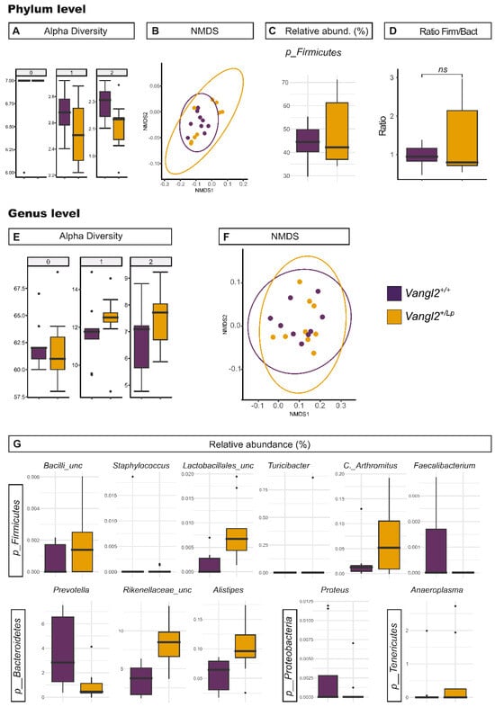 Nutrients 15 04944 g003