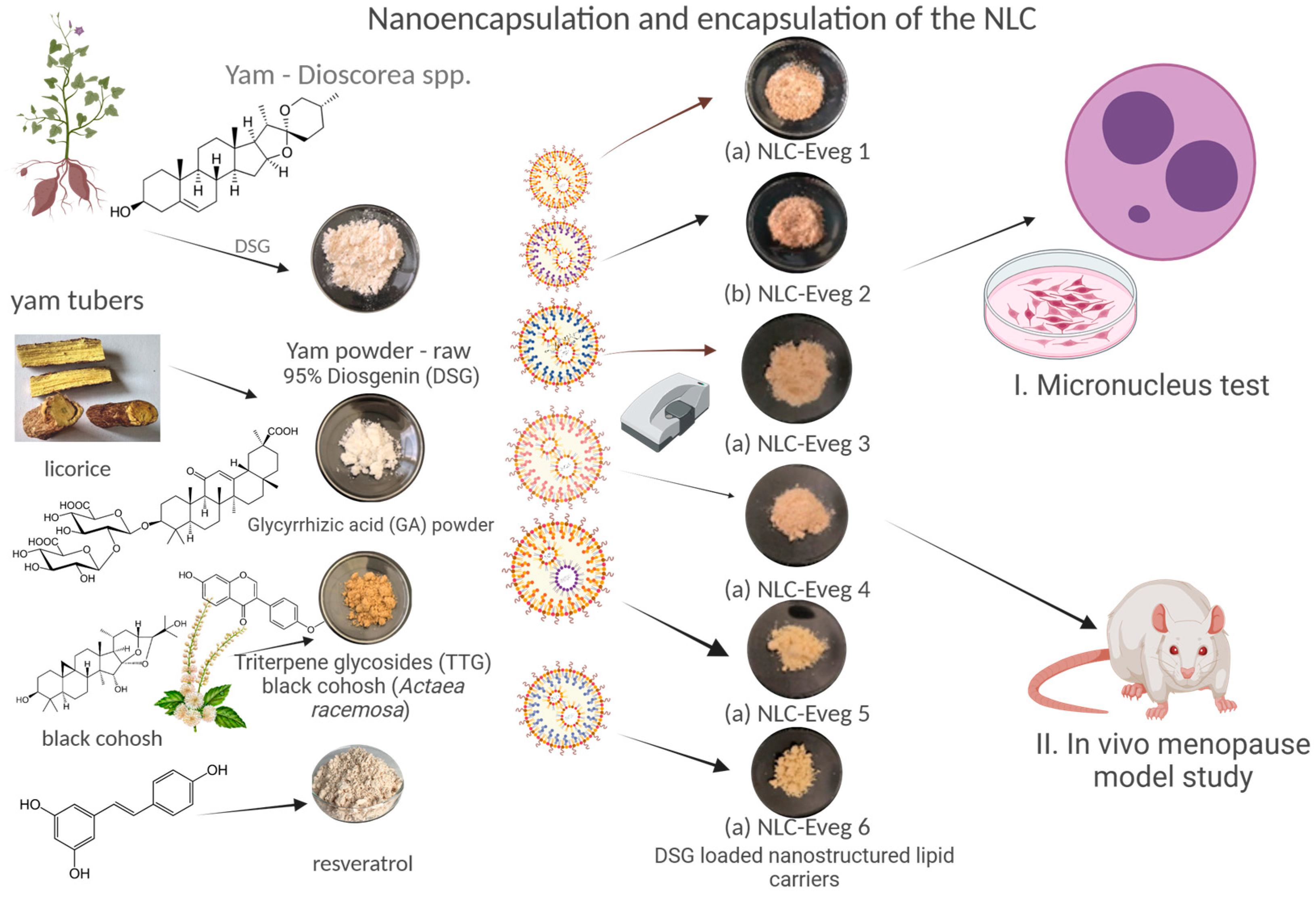 Nutrients 15 04951 g001