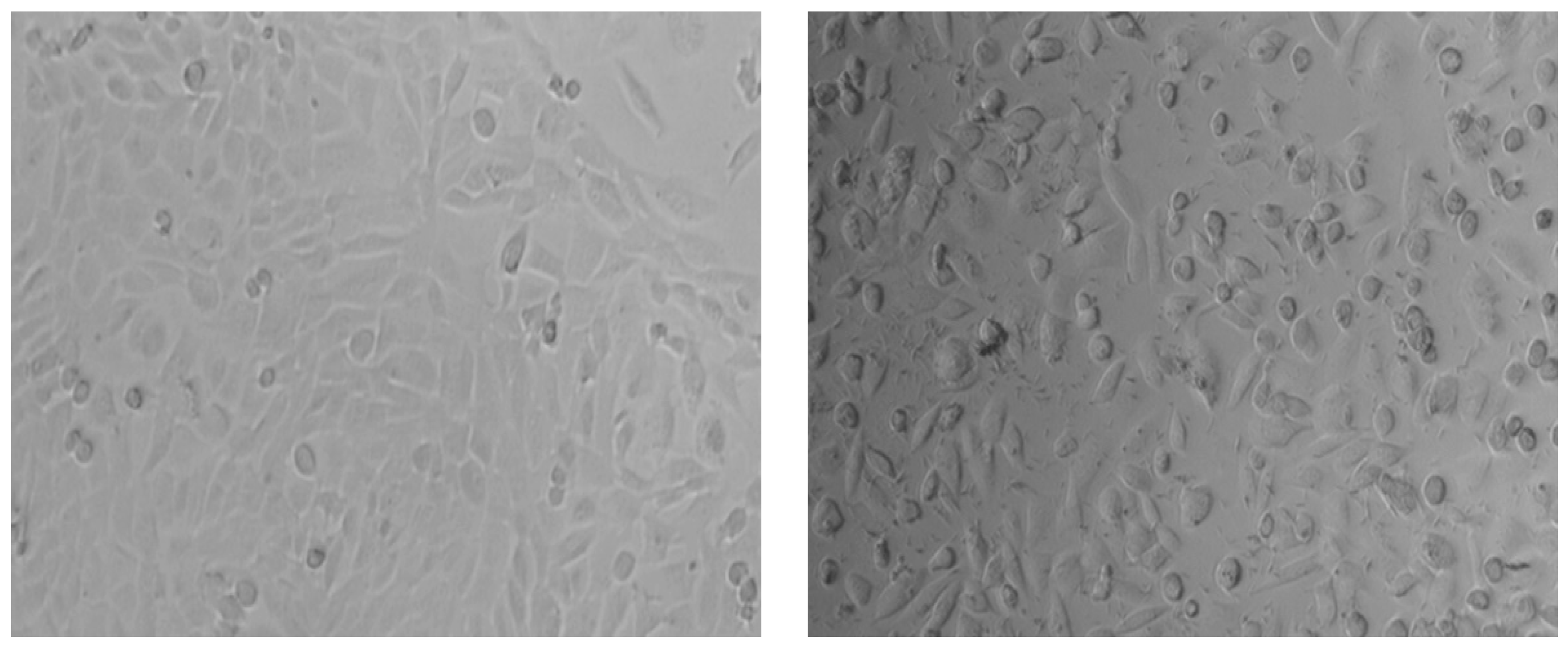 Nutrients 15 04951 g006