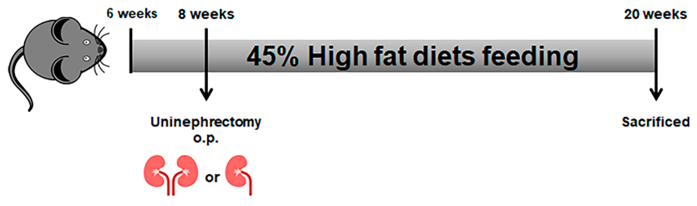 Nutrients 15 04959 g001