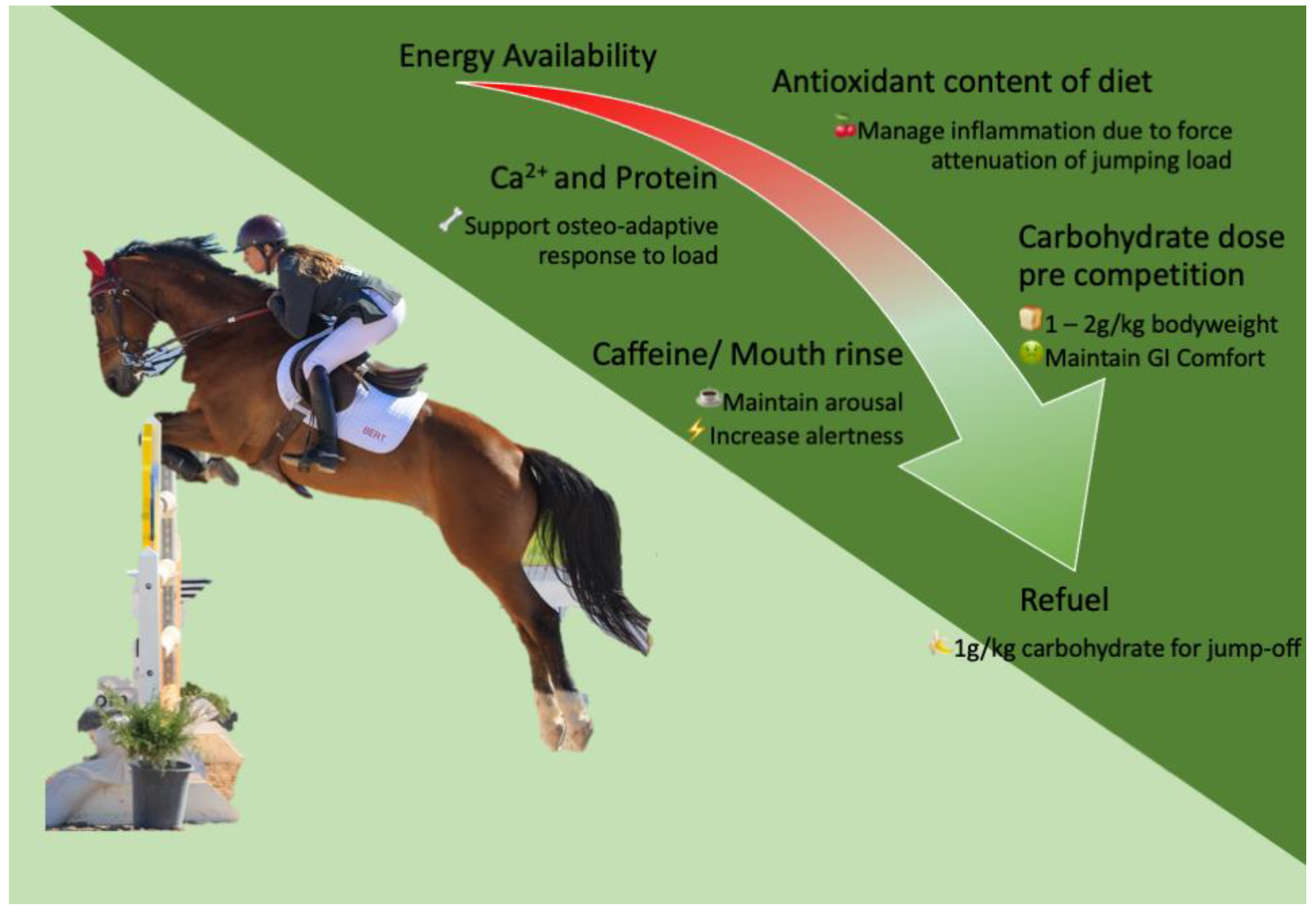 Nutrients 15 04977 g001