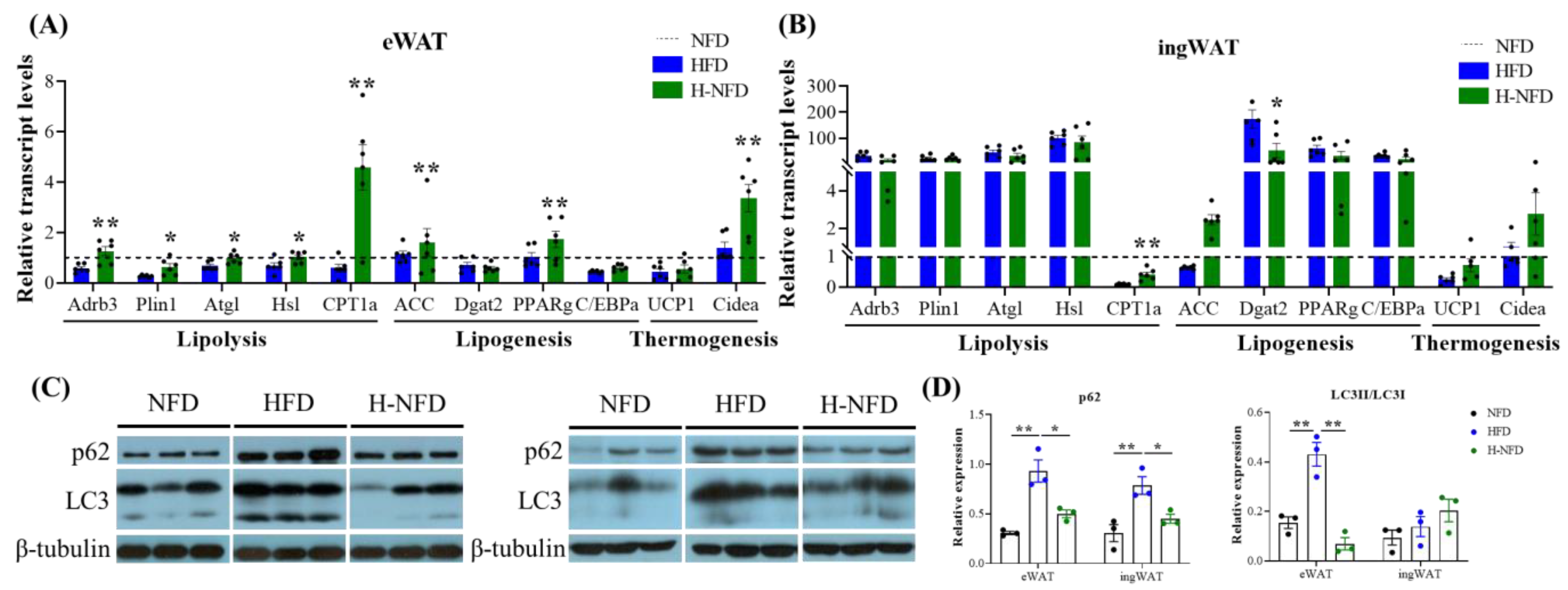 Nutrients 15 04978 g004