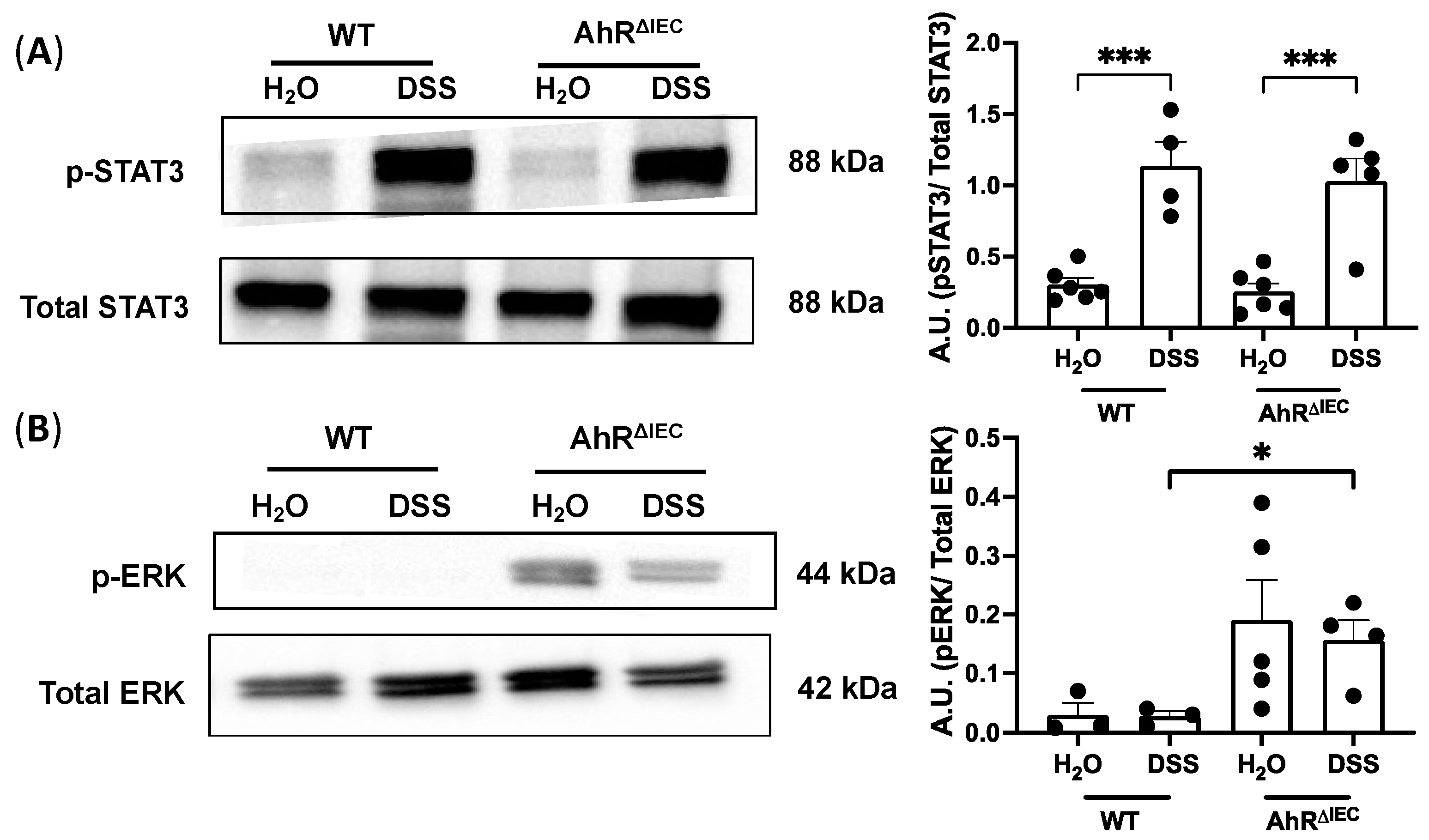 Nutrients 15 04980 g003