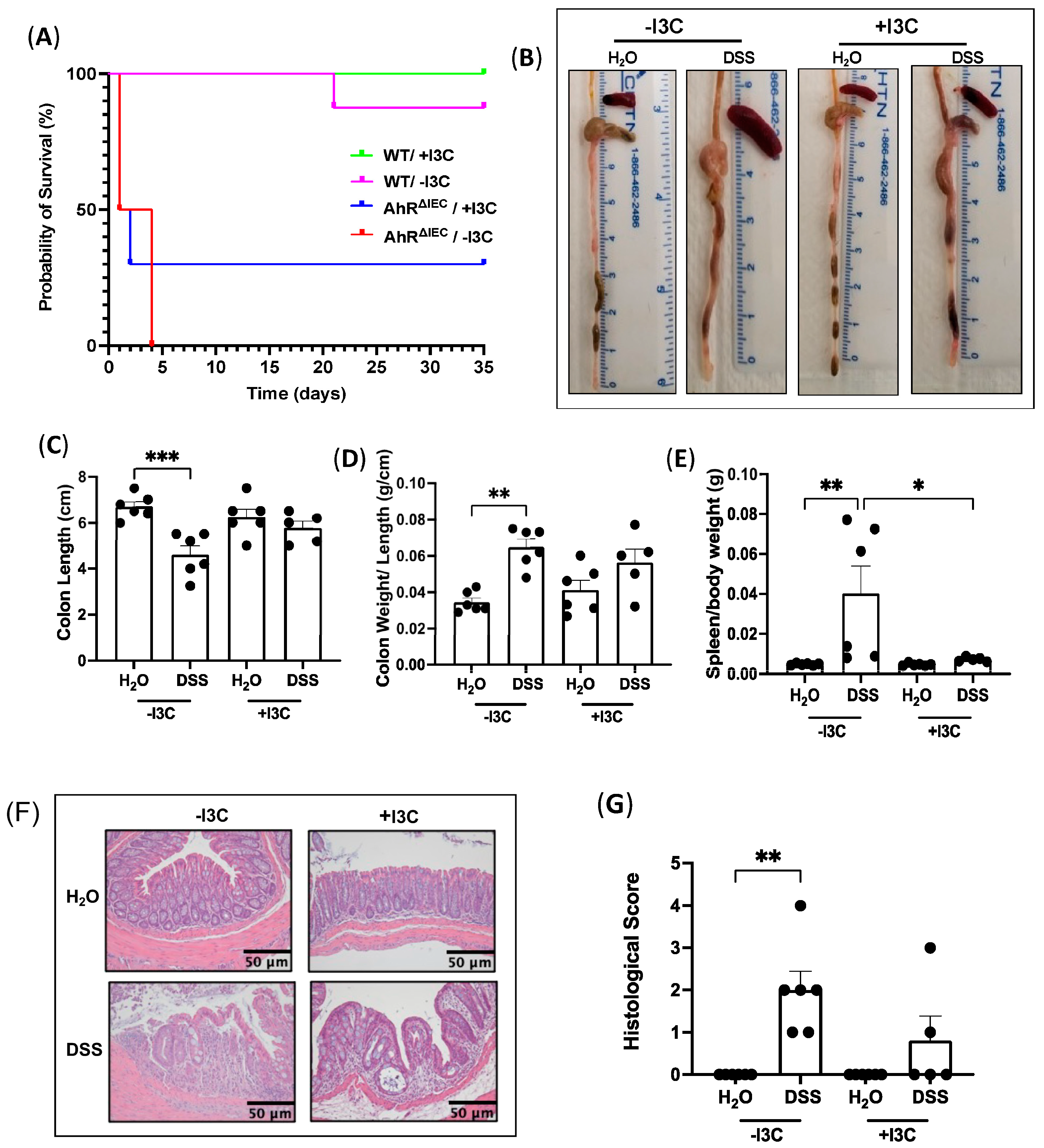 Nutrients 15 04980 g005