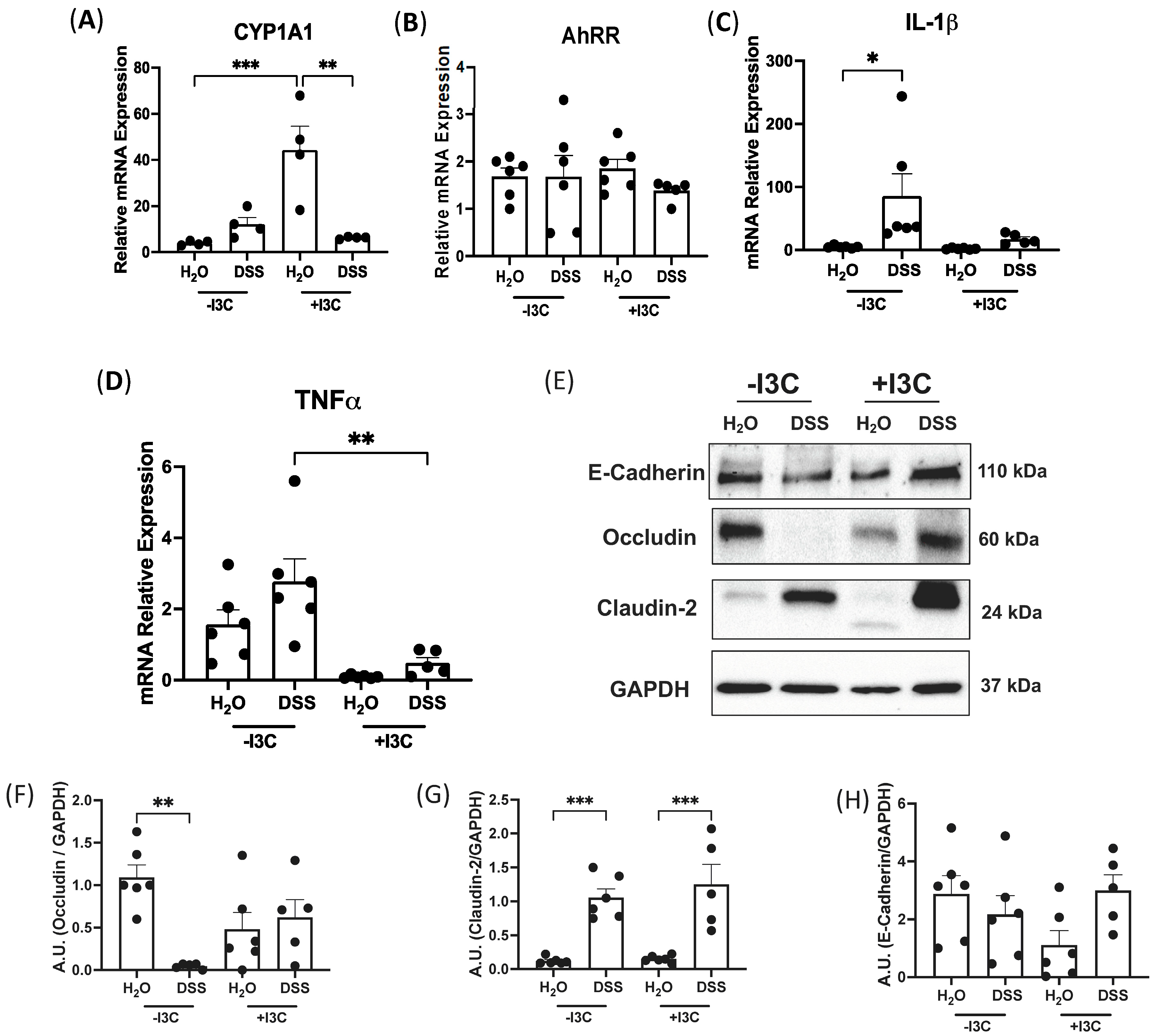 Nutrients 15 04980 g006